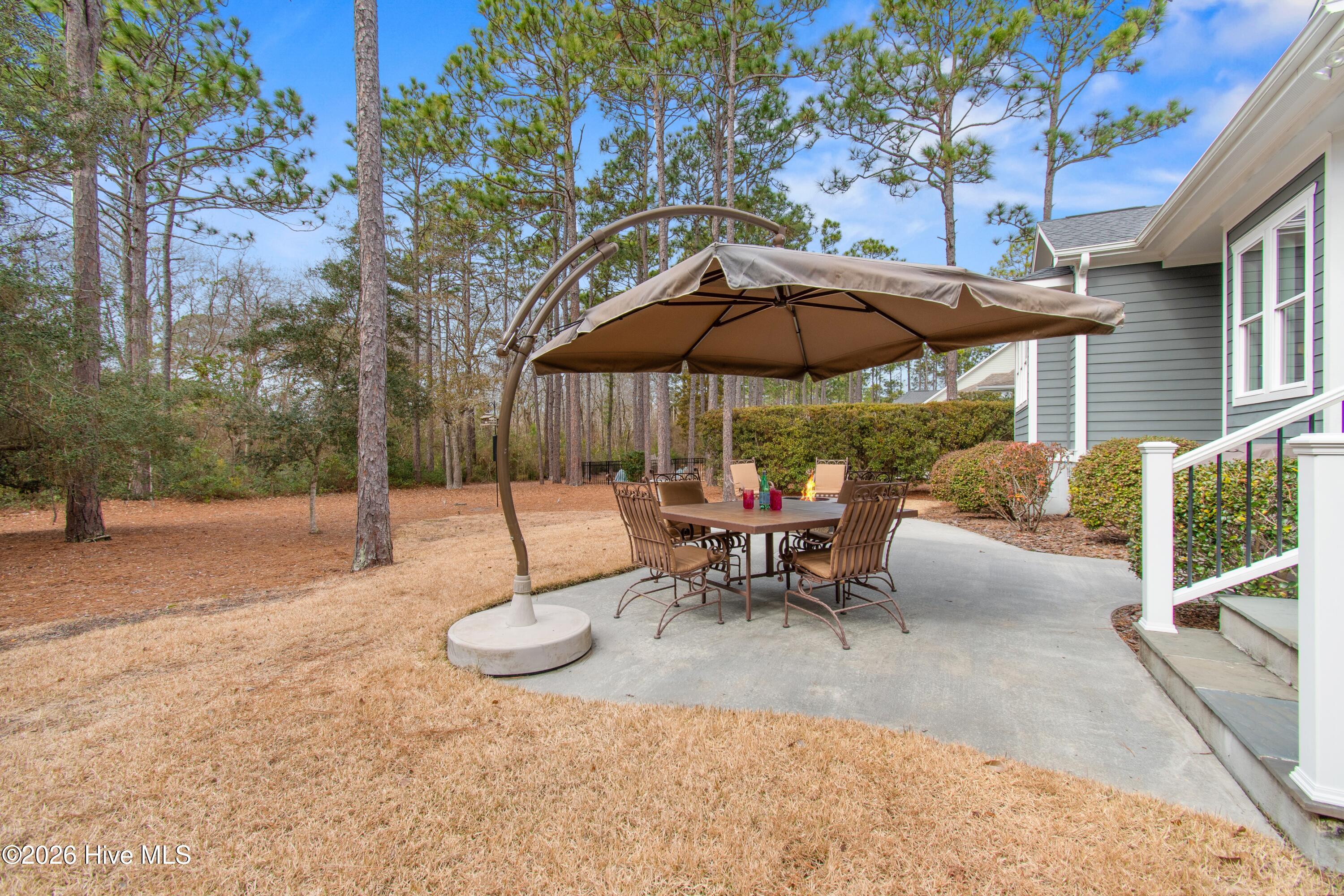 100555606 | Photo 51