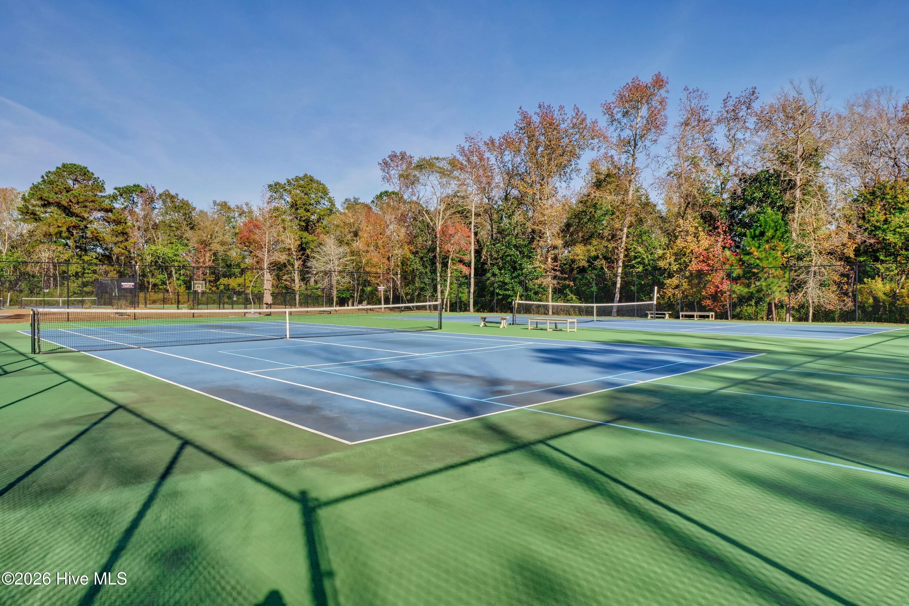 100565669 | Photo 80