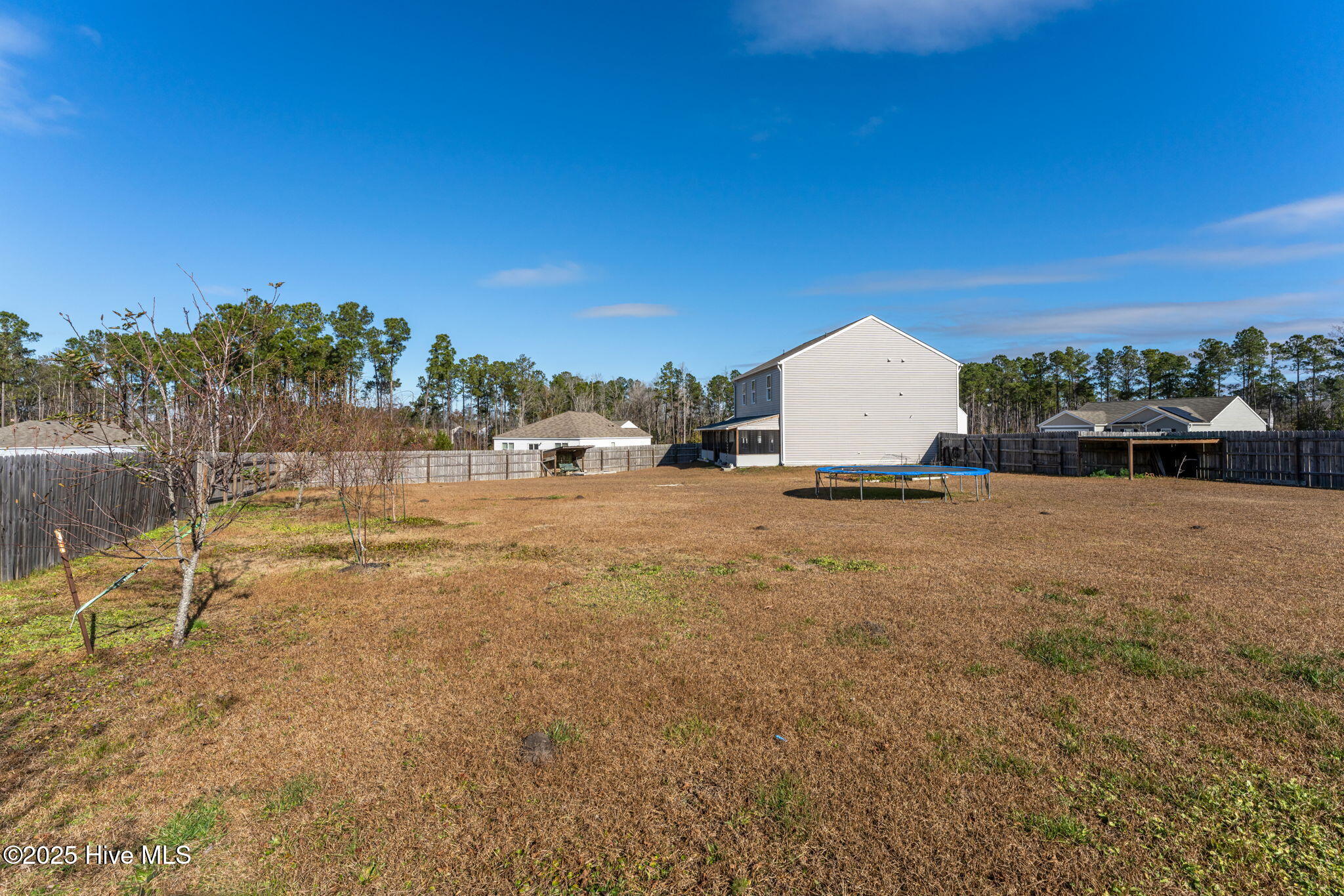 100523814 | Photo 35