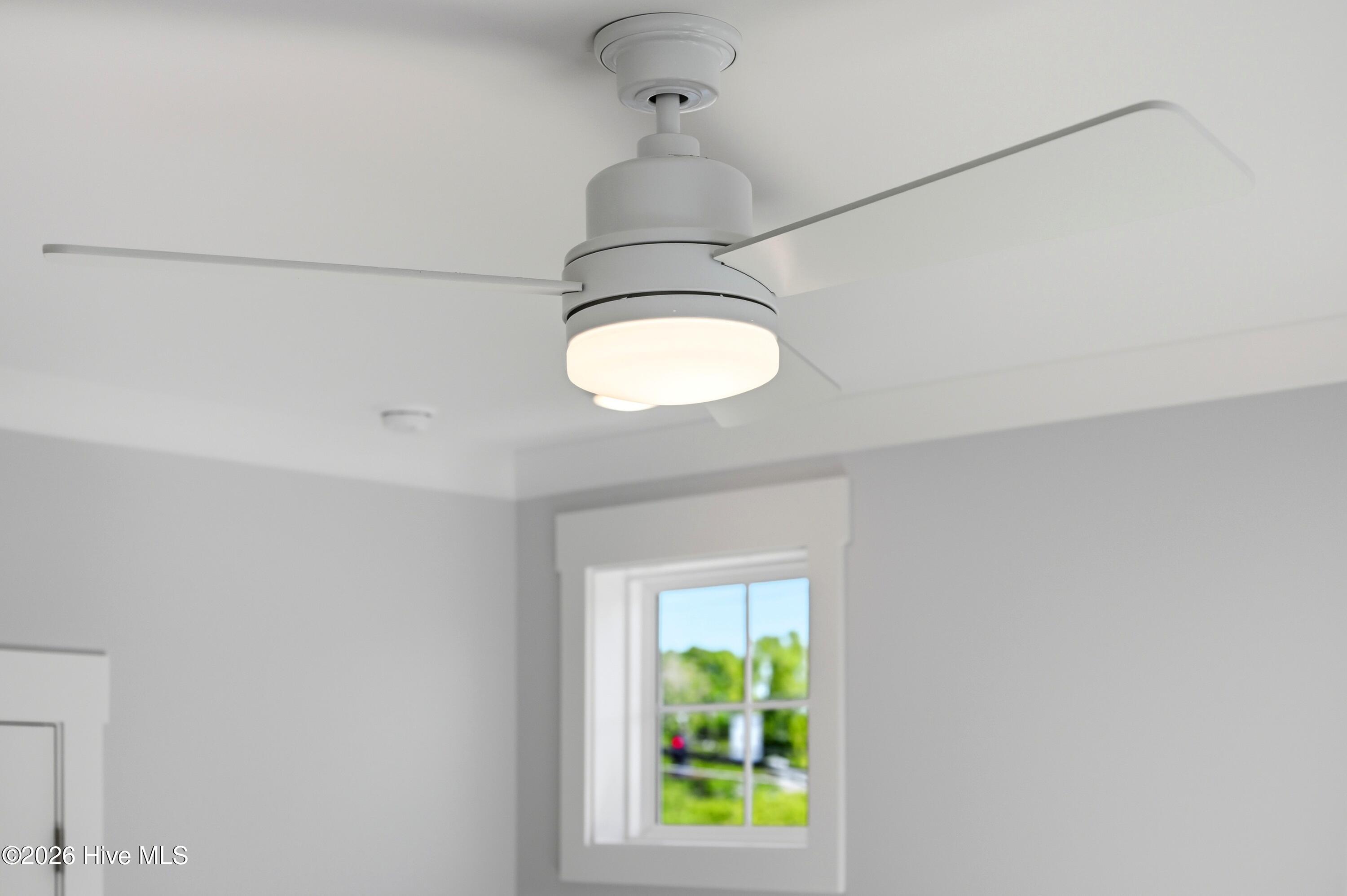 100566798 | Photo 38