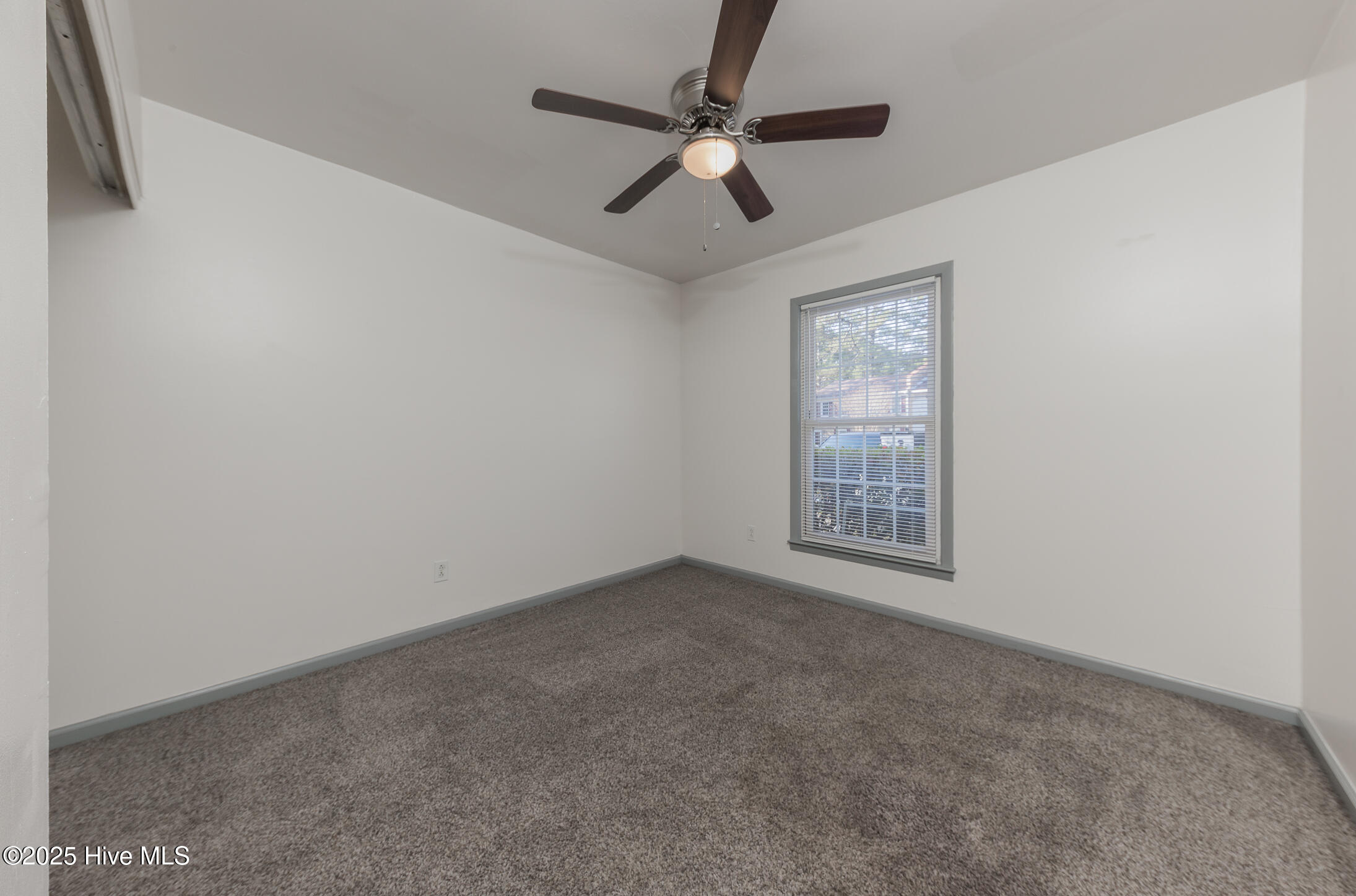 100546793 | Photo 20