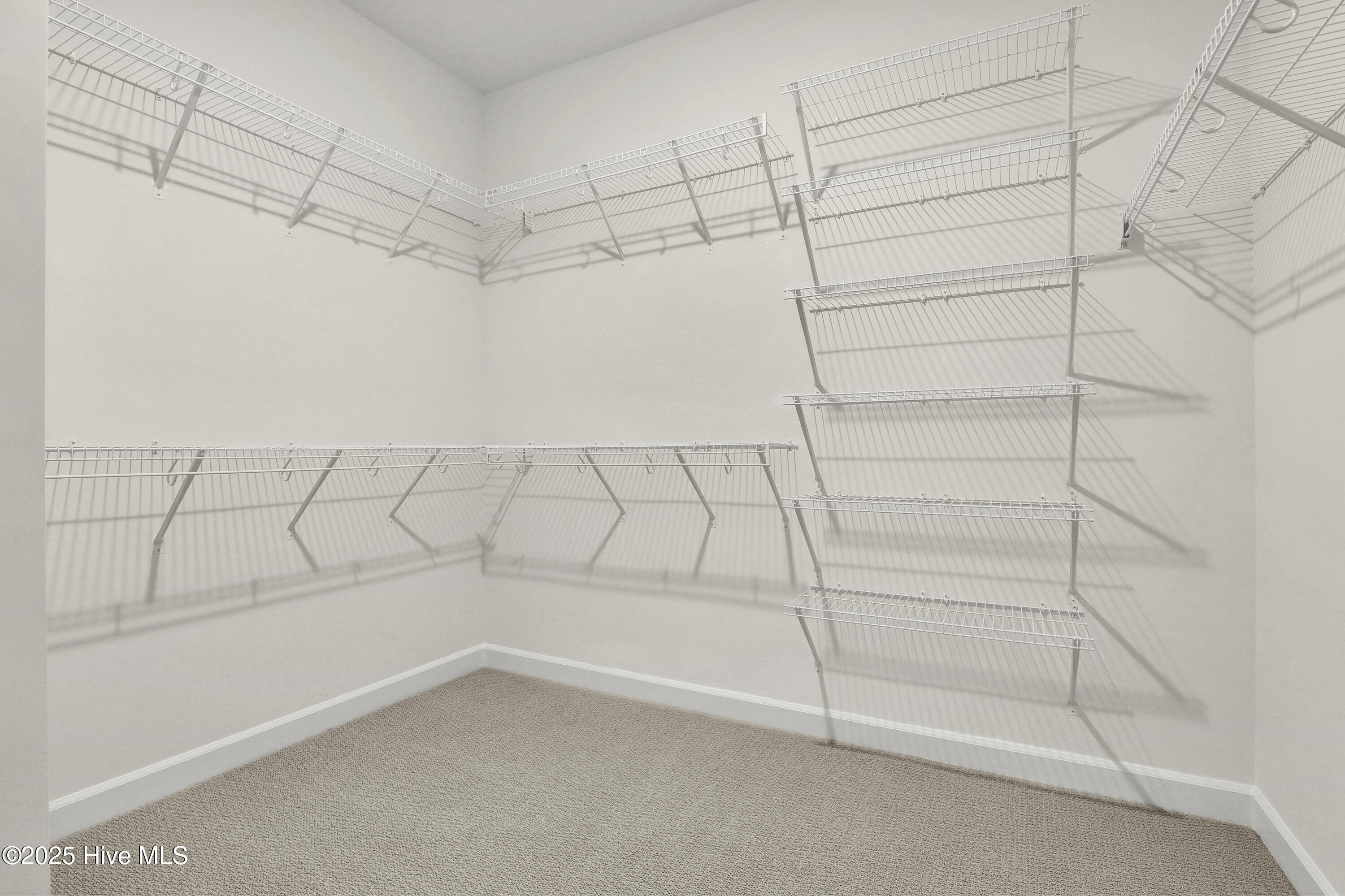 100522445 | Photo 15