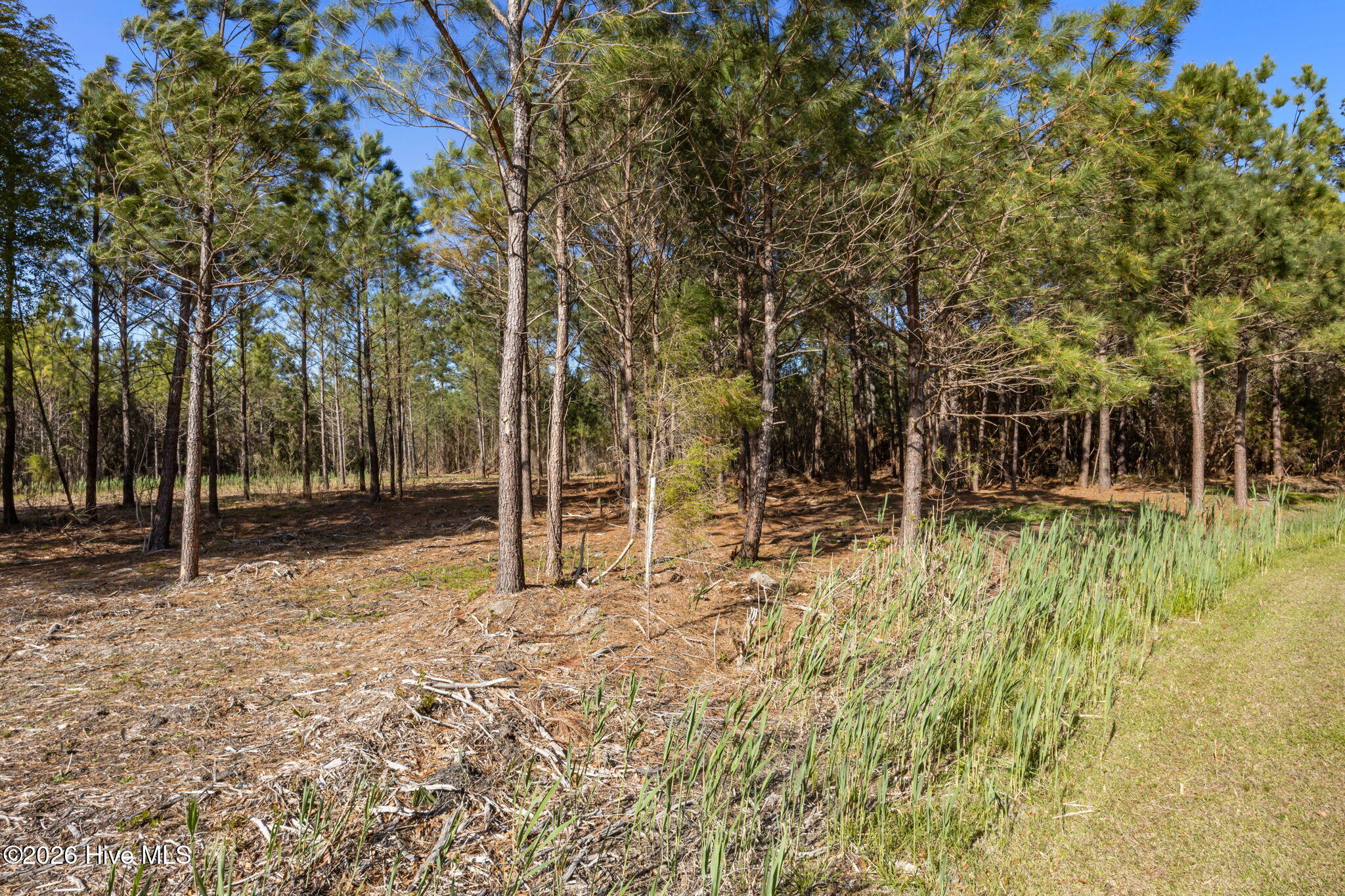 11 44 E Diamond Shoal Lane,Vandemere
