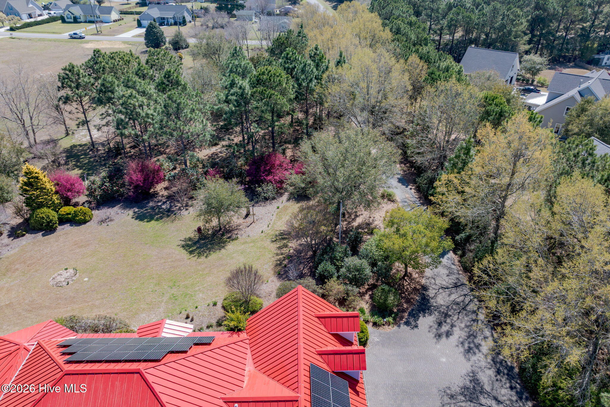 100552056 | Photo 101