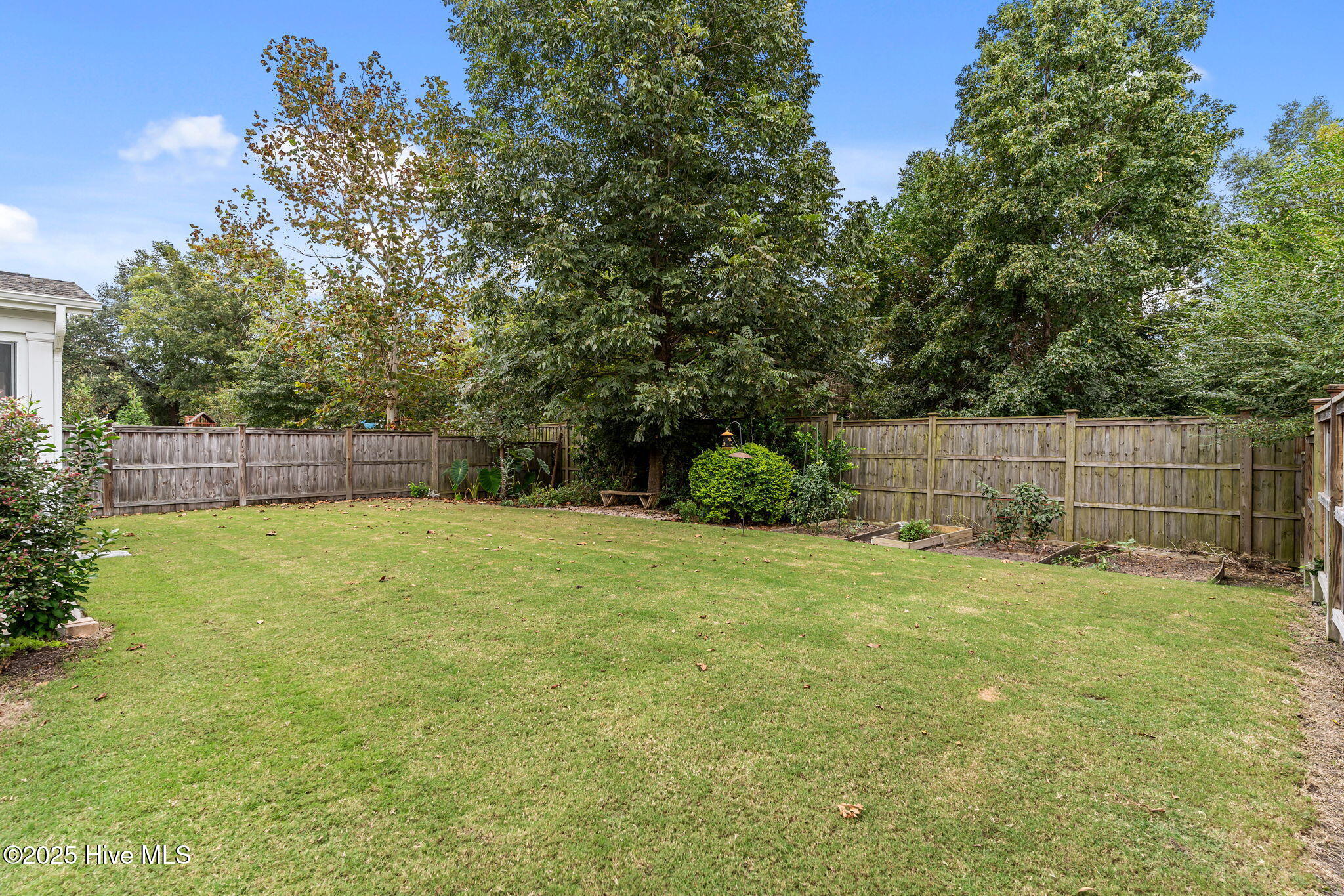 100535481 | Photo 36