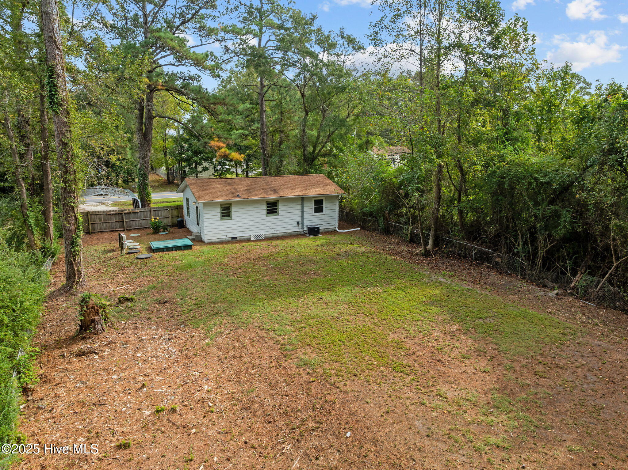 100536002 | Photo 47