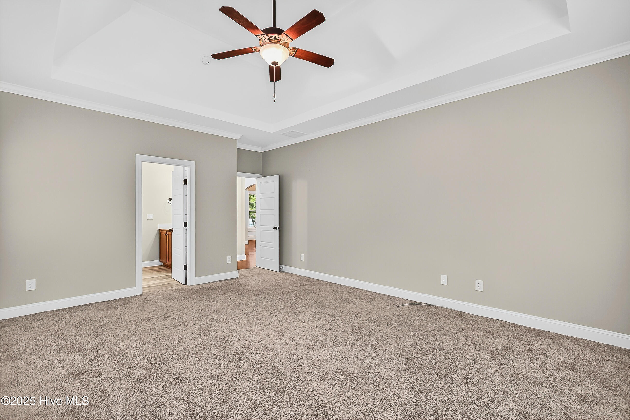 100534677 | Photo 30