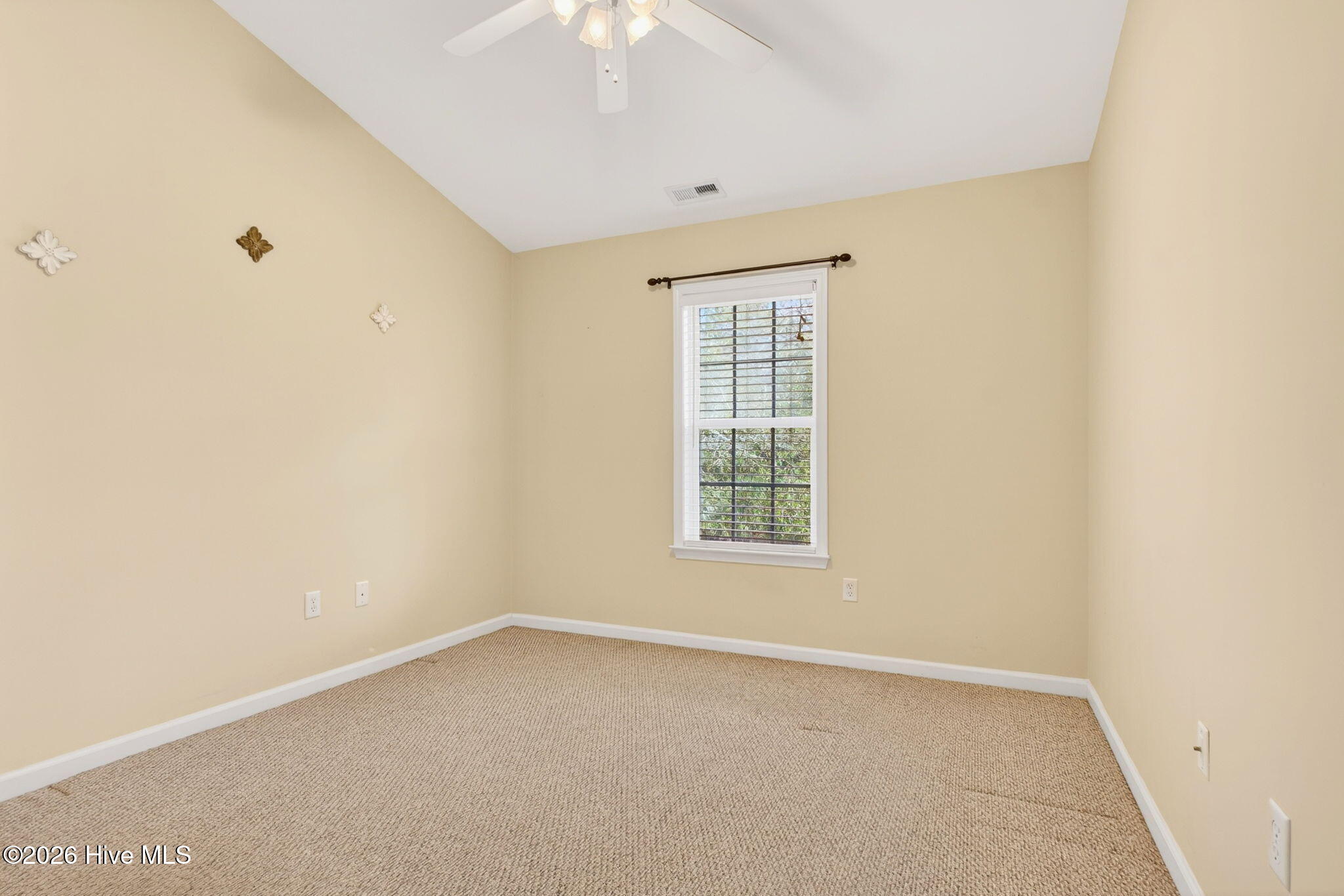 100558532 | Photo 40