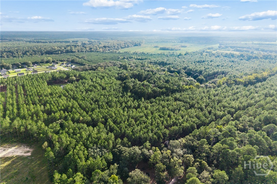 Photo 4 of Land for sale at 0 Bub, Ellabell, GA 31308 | MLS# SA364887 | Listing updated on 2026-09-30