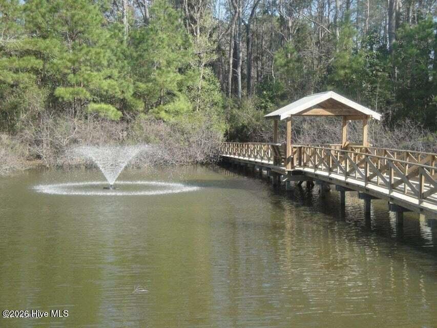 100549669 | Photo 83