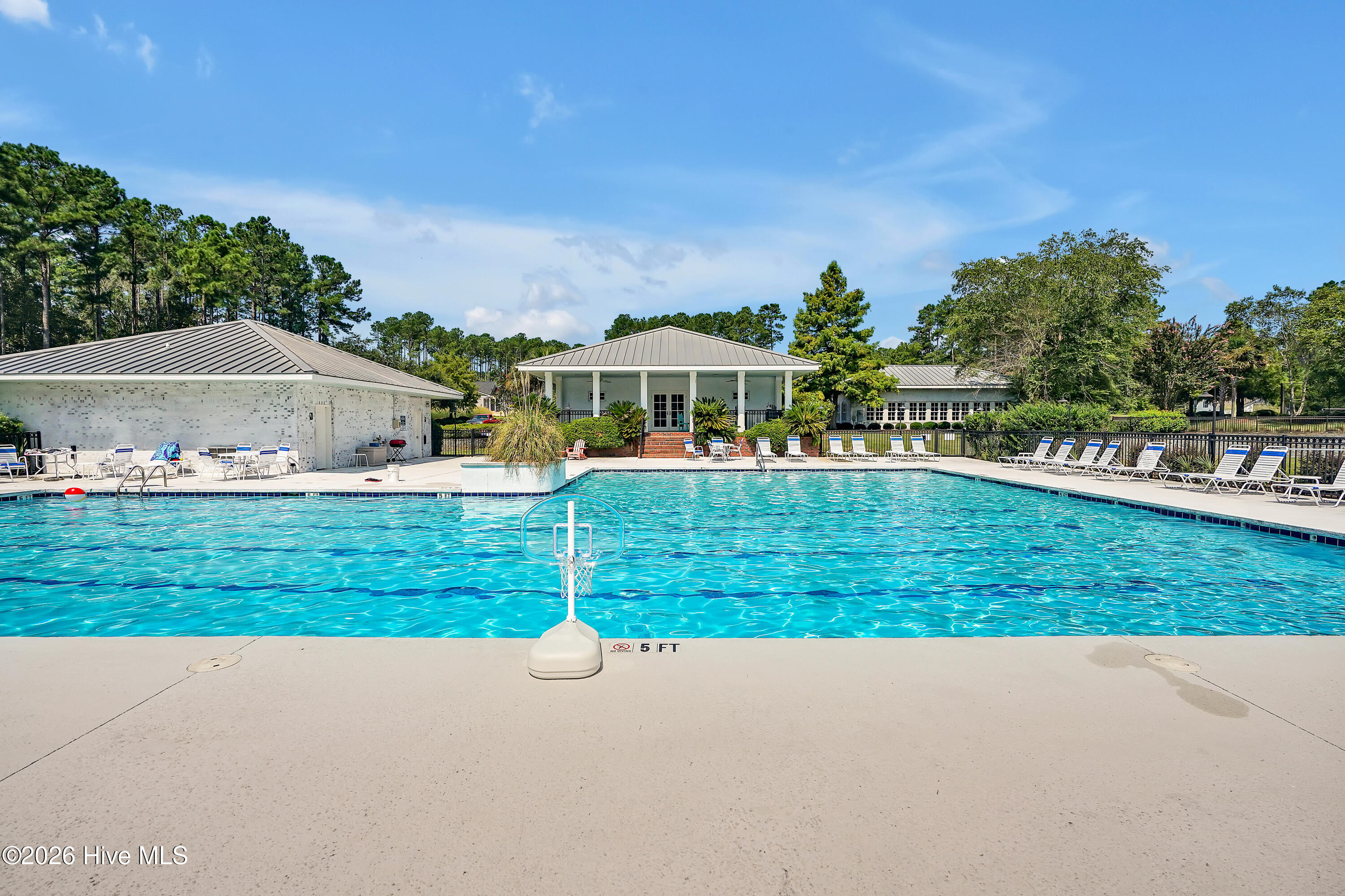 100569984 | Photo 31