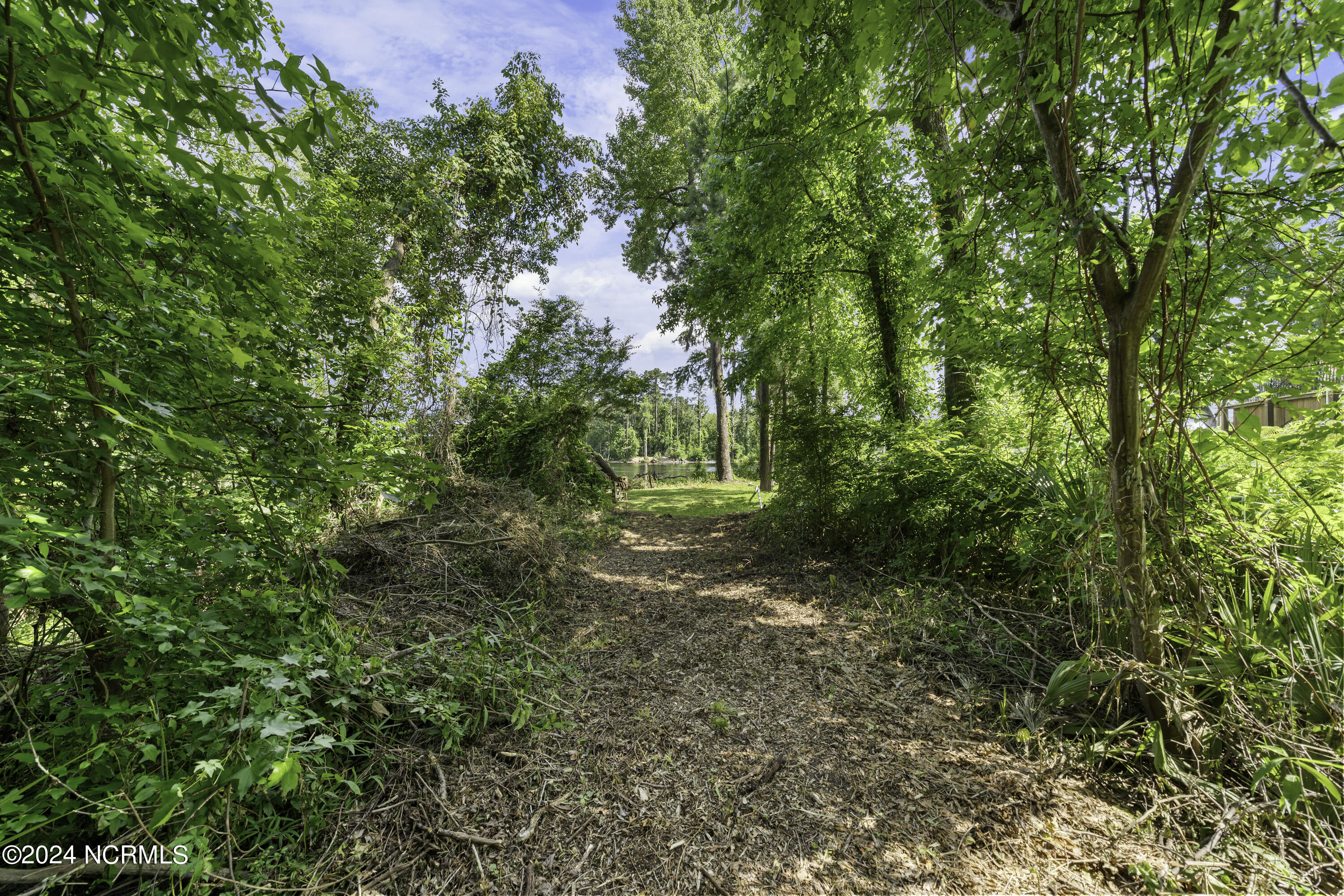 100524408 | Photo 29