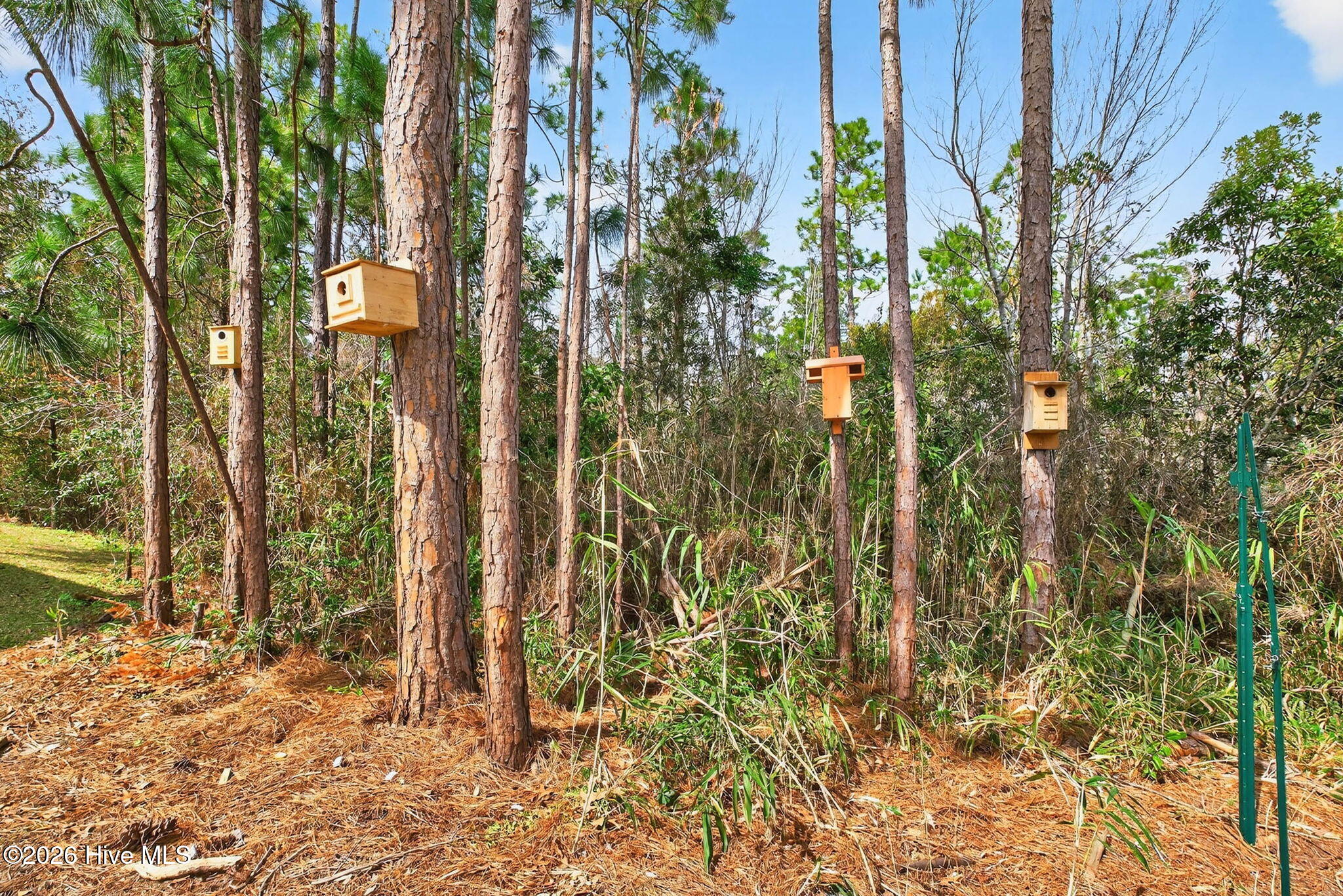 100561727 | Photo 39