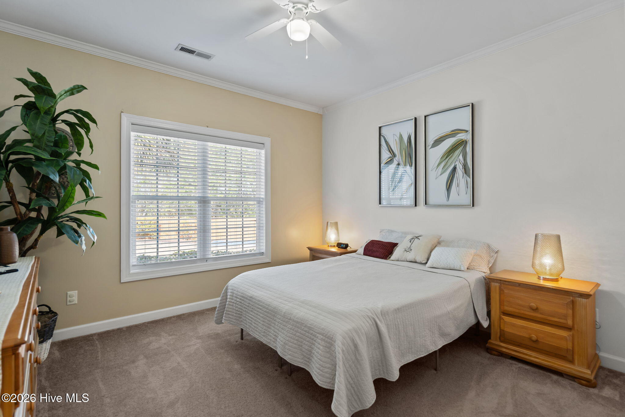 100559700 | Photo 37