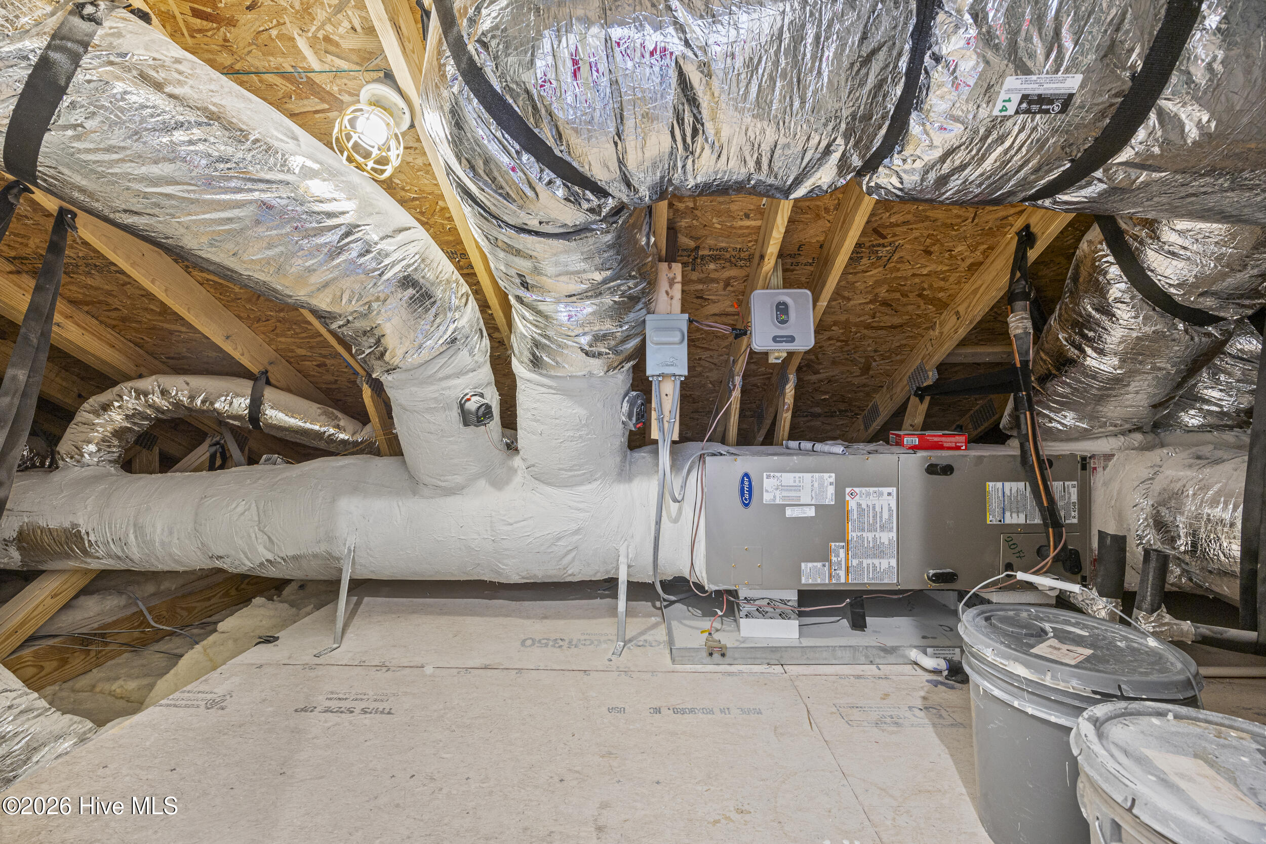 100556976 | Photo 37