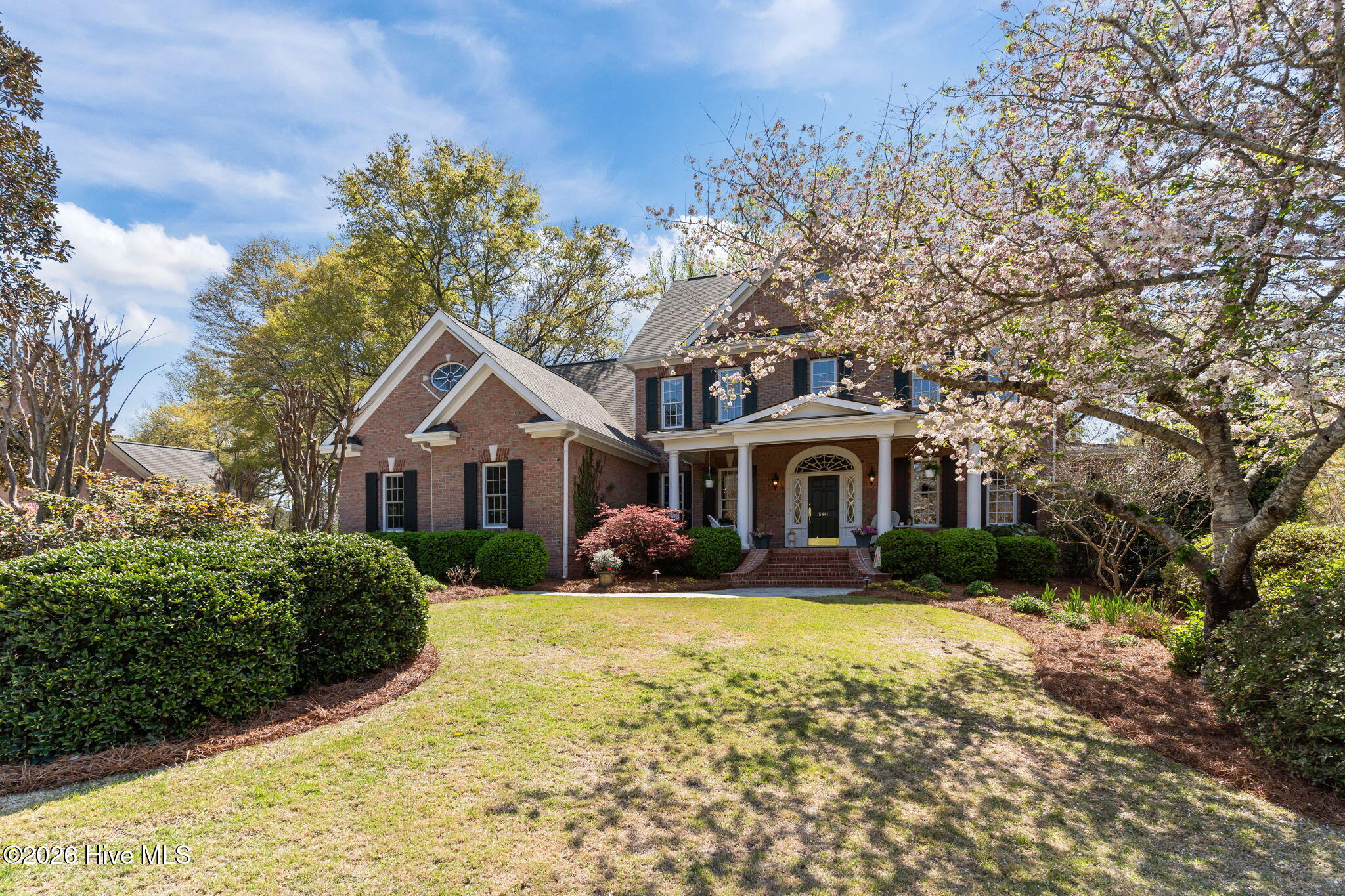 100564418 | Photo 55