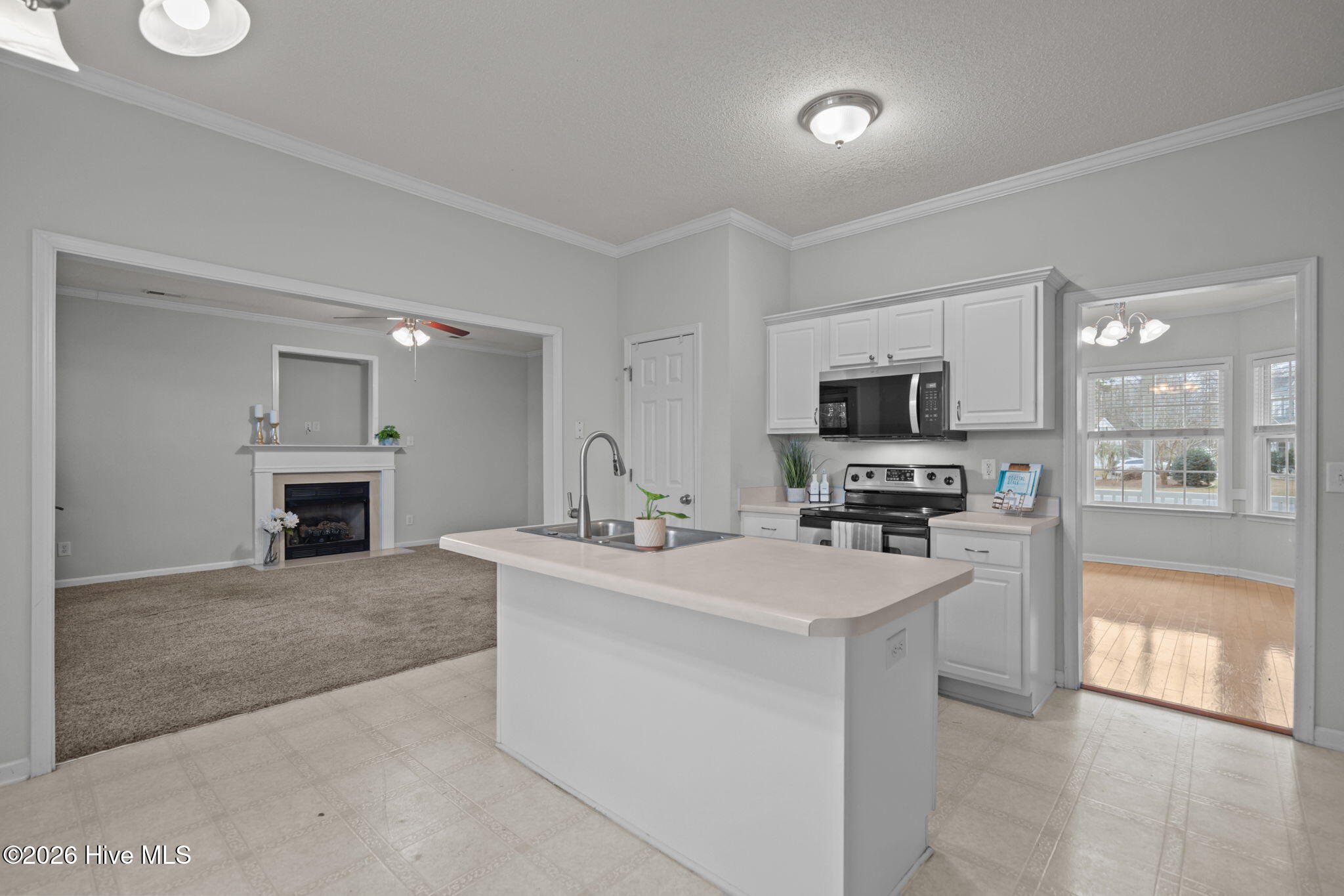 100558076 | Photo 13