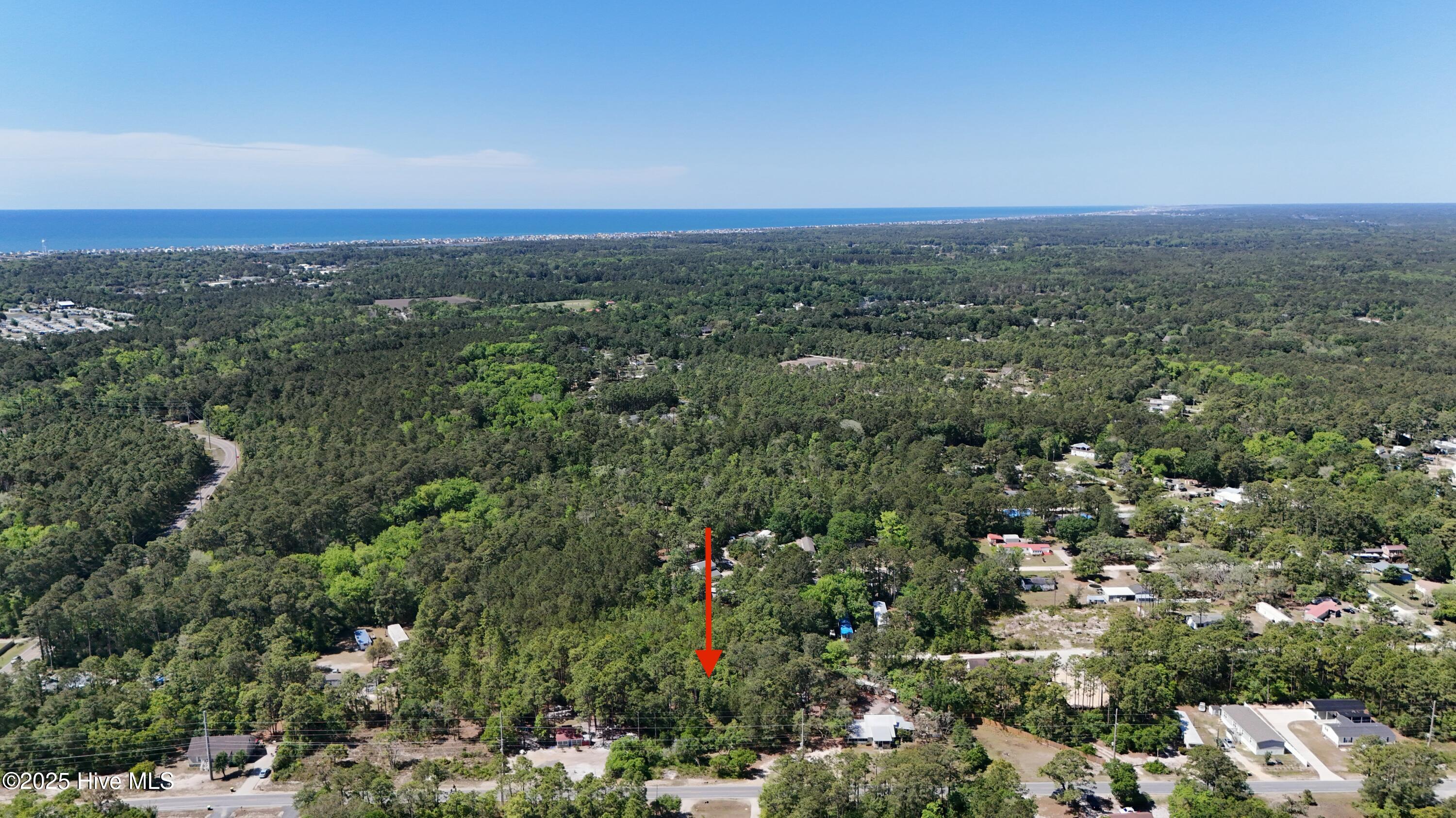 100503878 | Photo 11