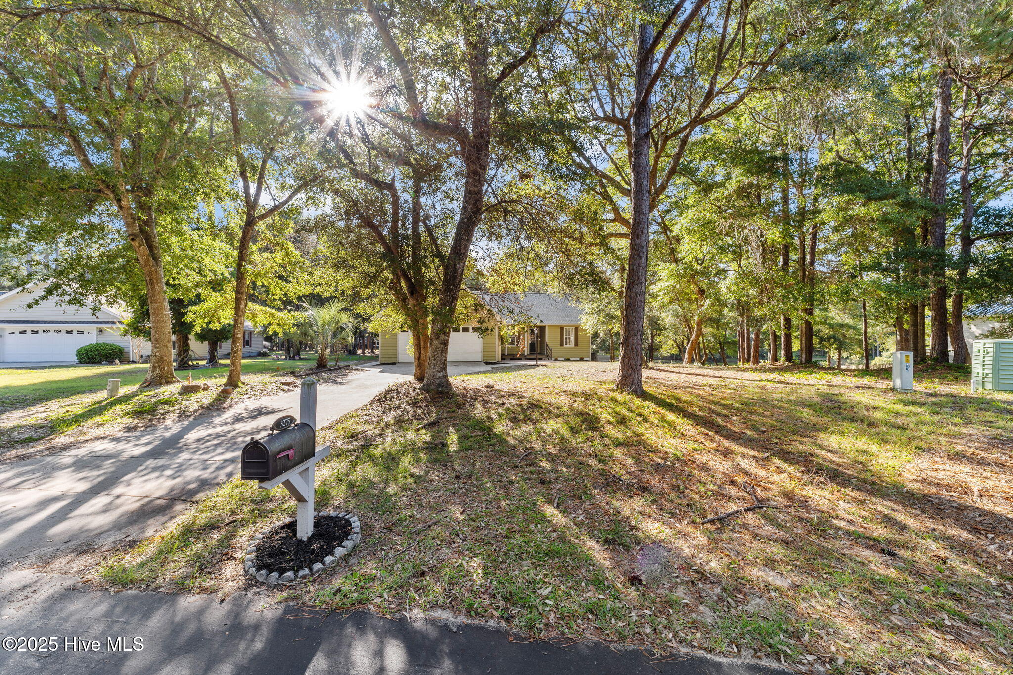 100533176 | Photo 14