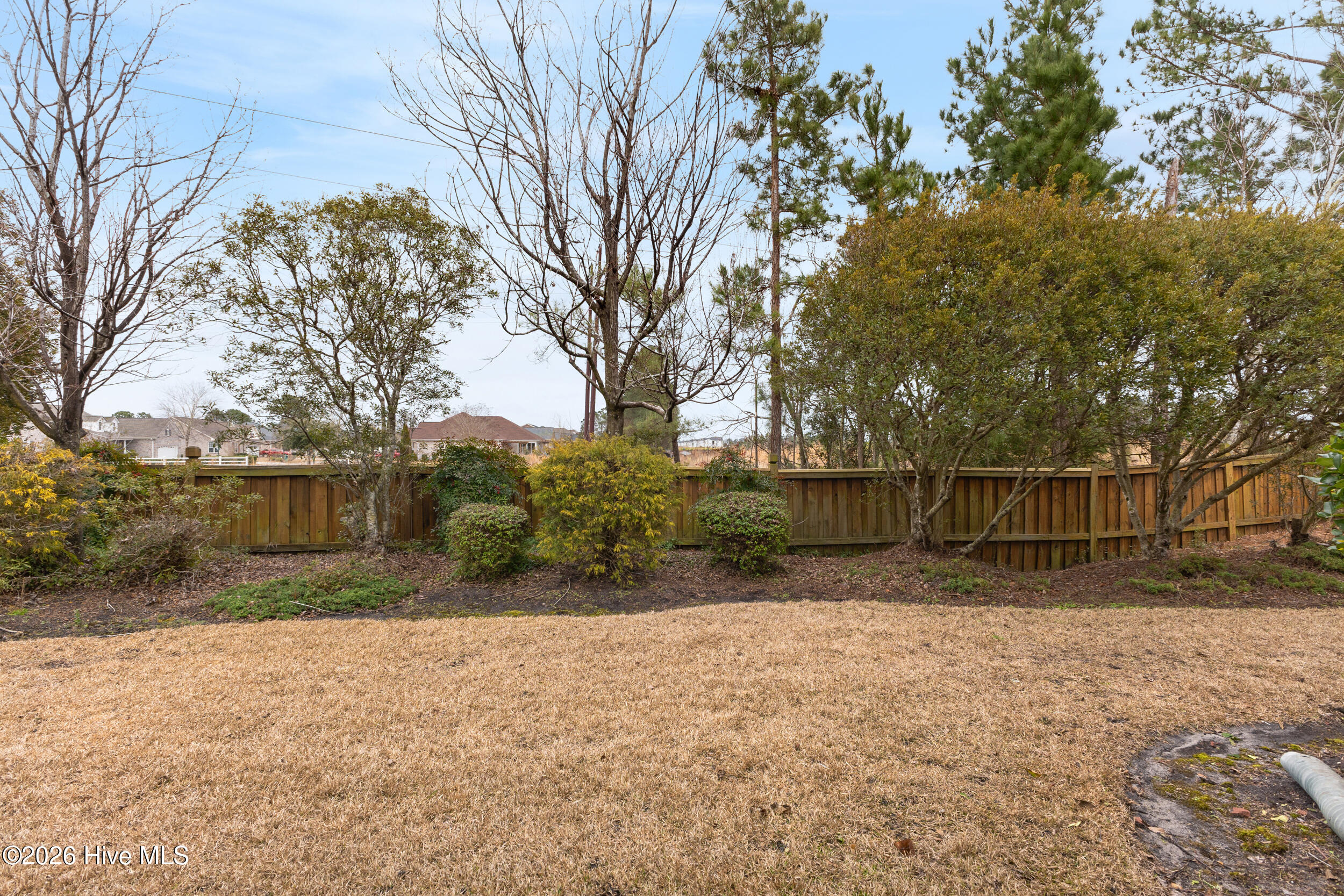 100557149 | Photo 45