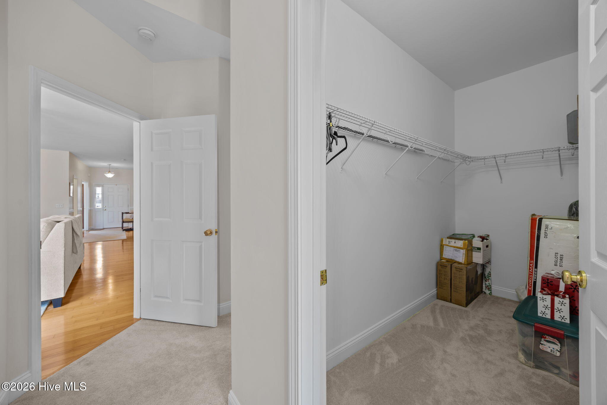 100556175 | Photo 23