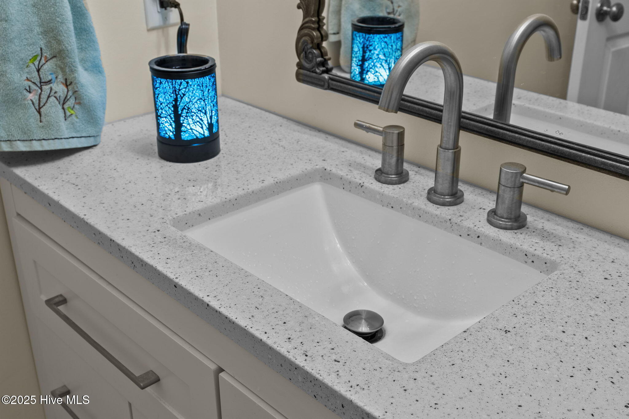 100530137 | Photo 25