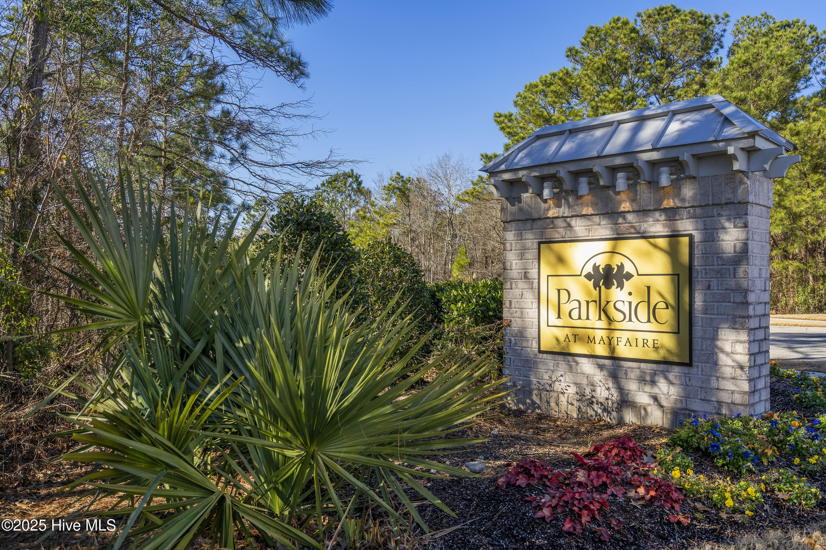 100537551 | Photo 66