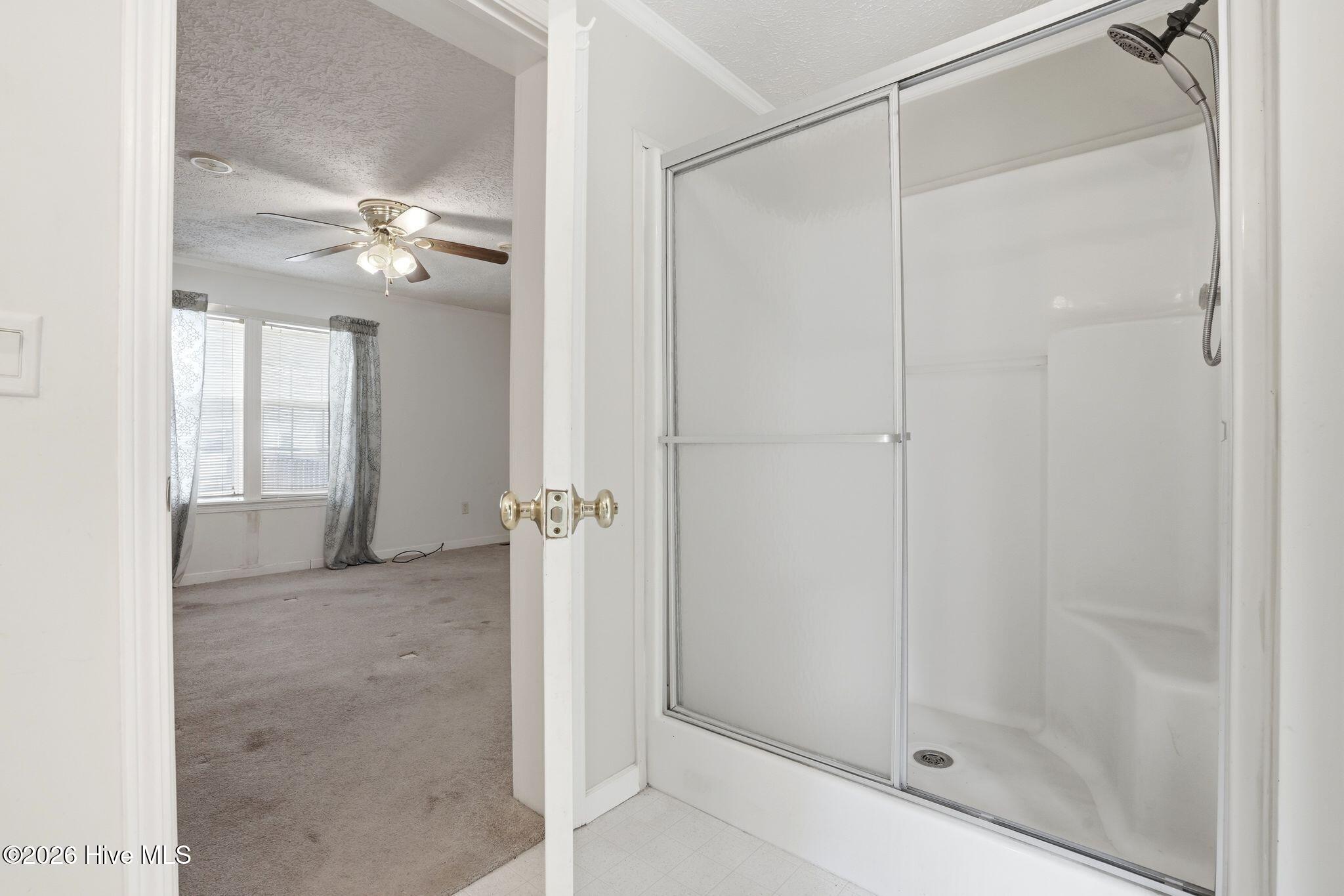 100556115 | Photo 71