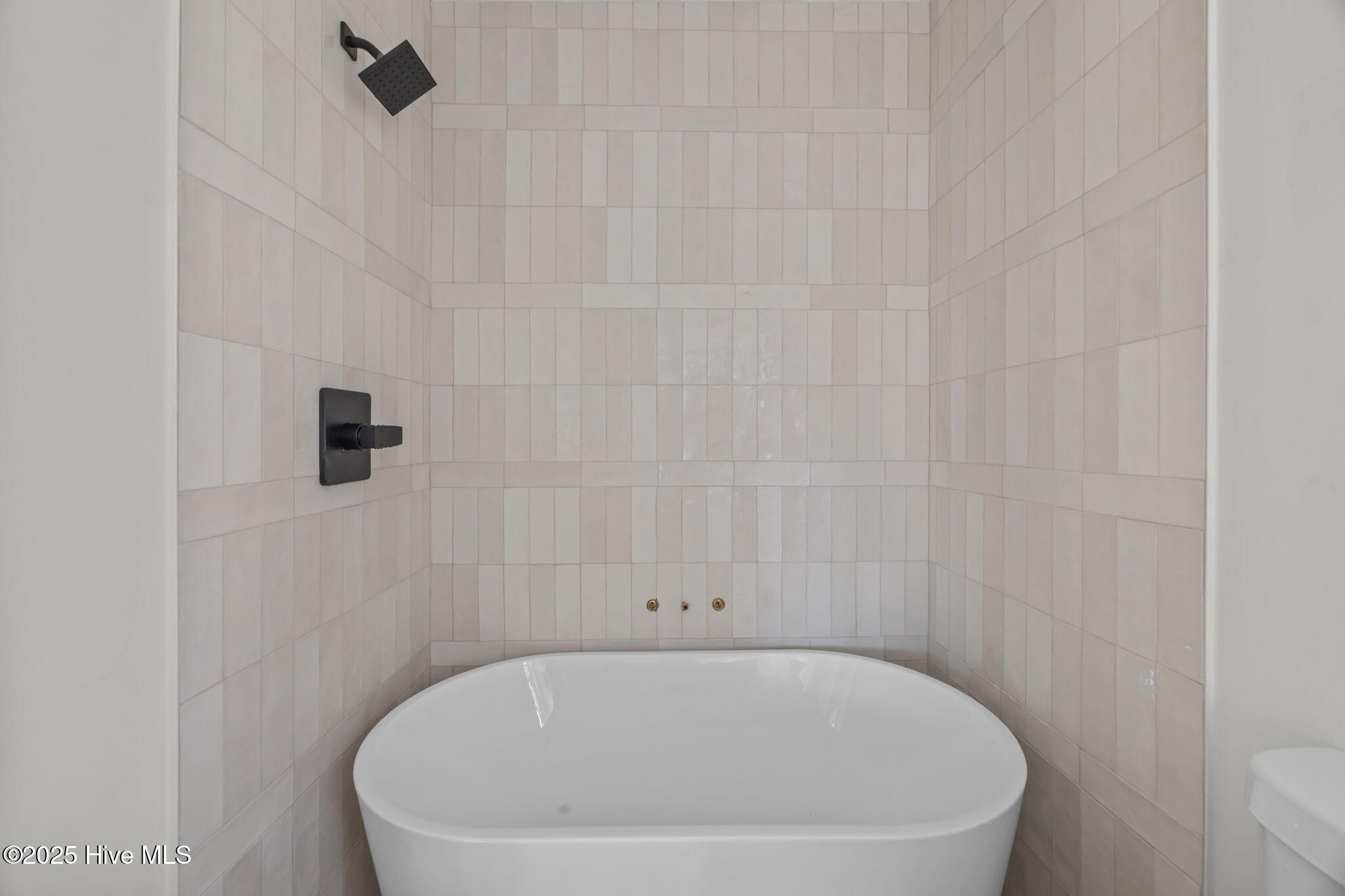 100520043 | Photo 33