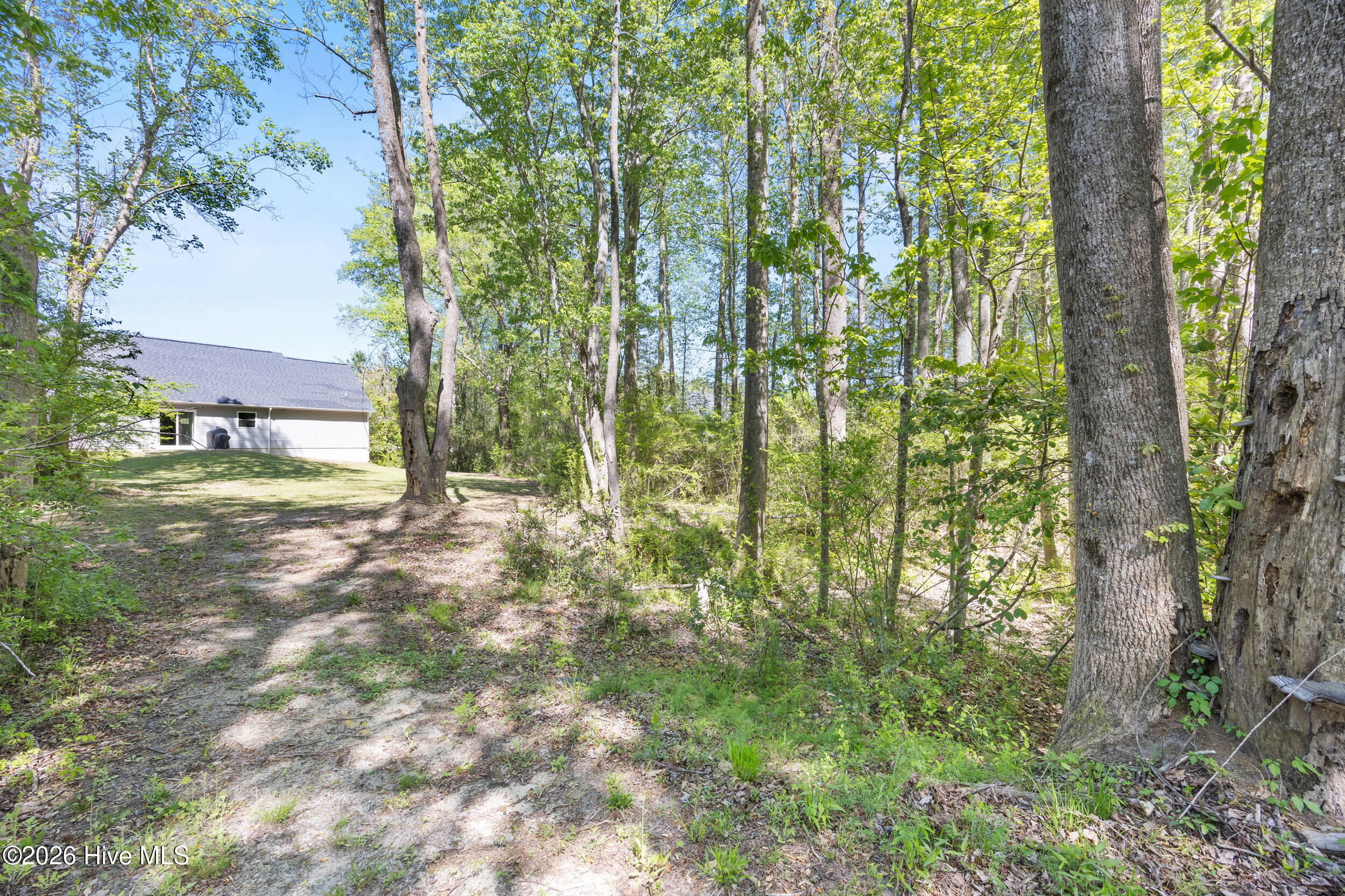 100566907 | Photo 40