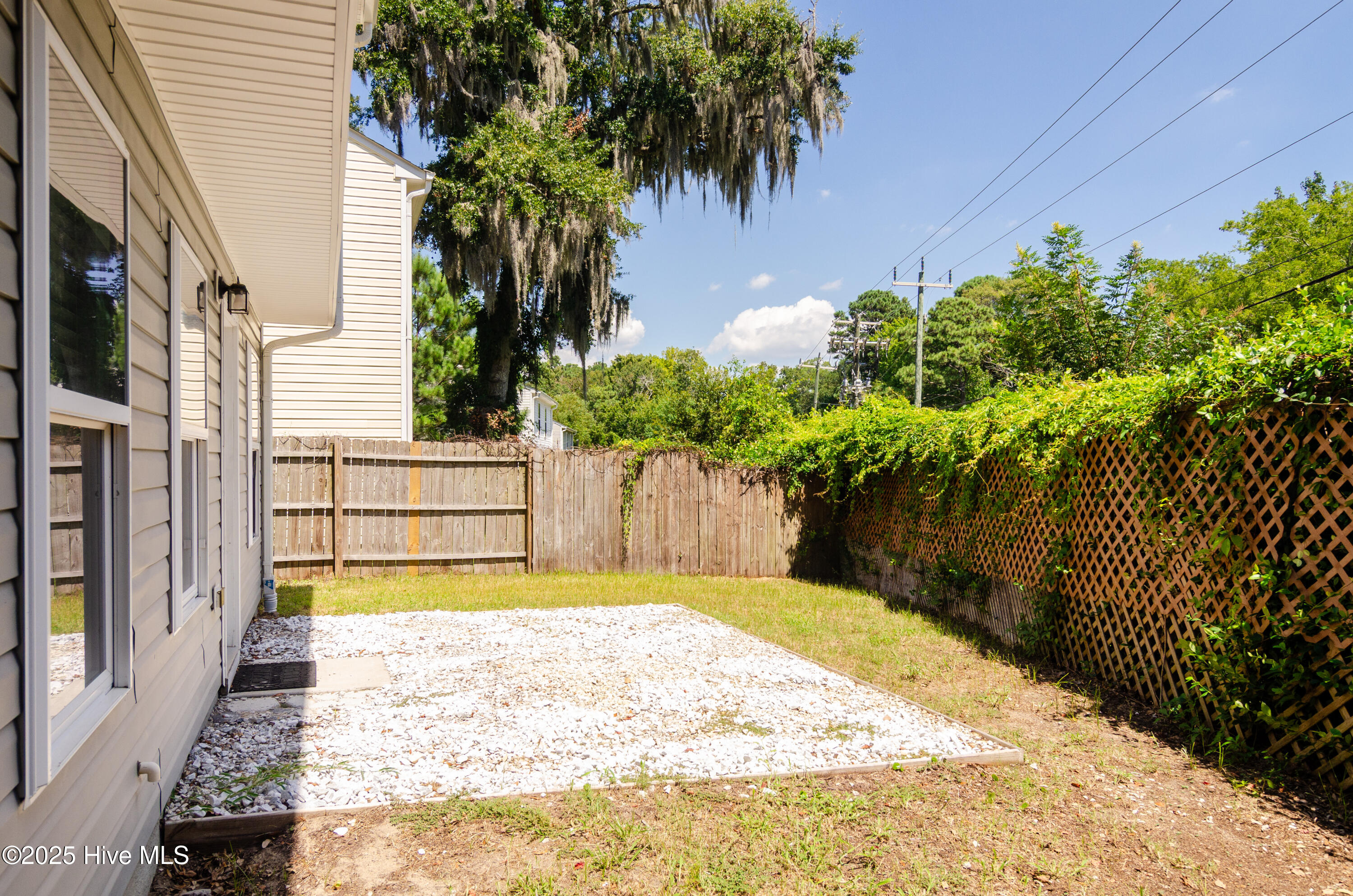 100497964 | Photo 12