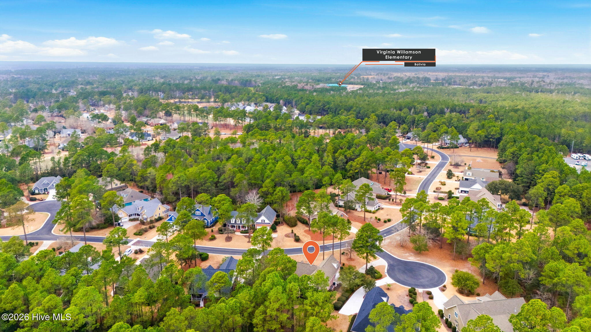 100556153 | Photo 12