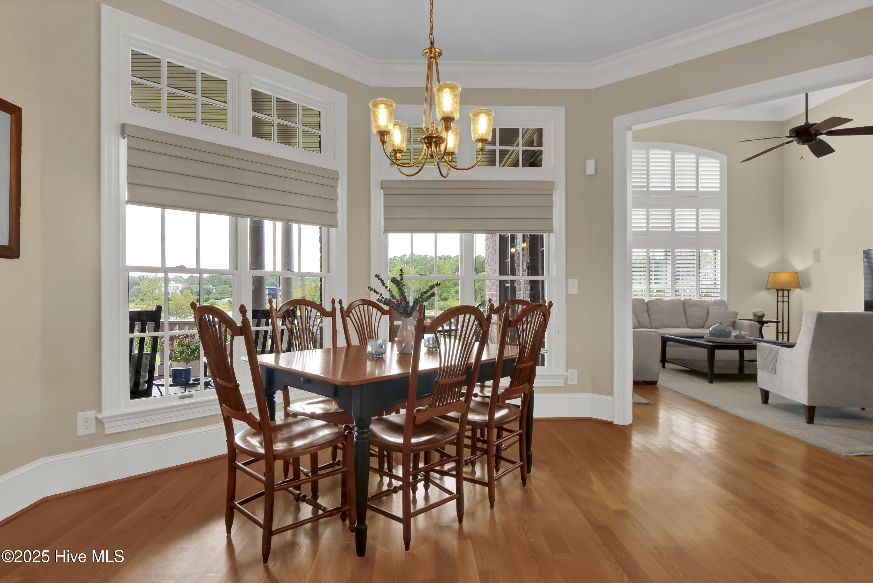 100555376 | Photo 16