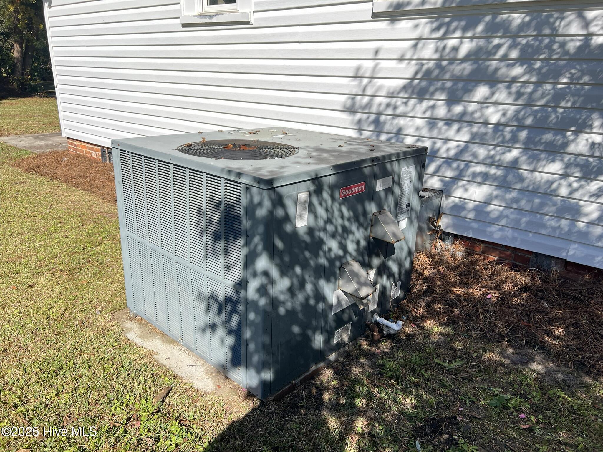 100539928 | Photo 27