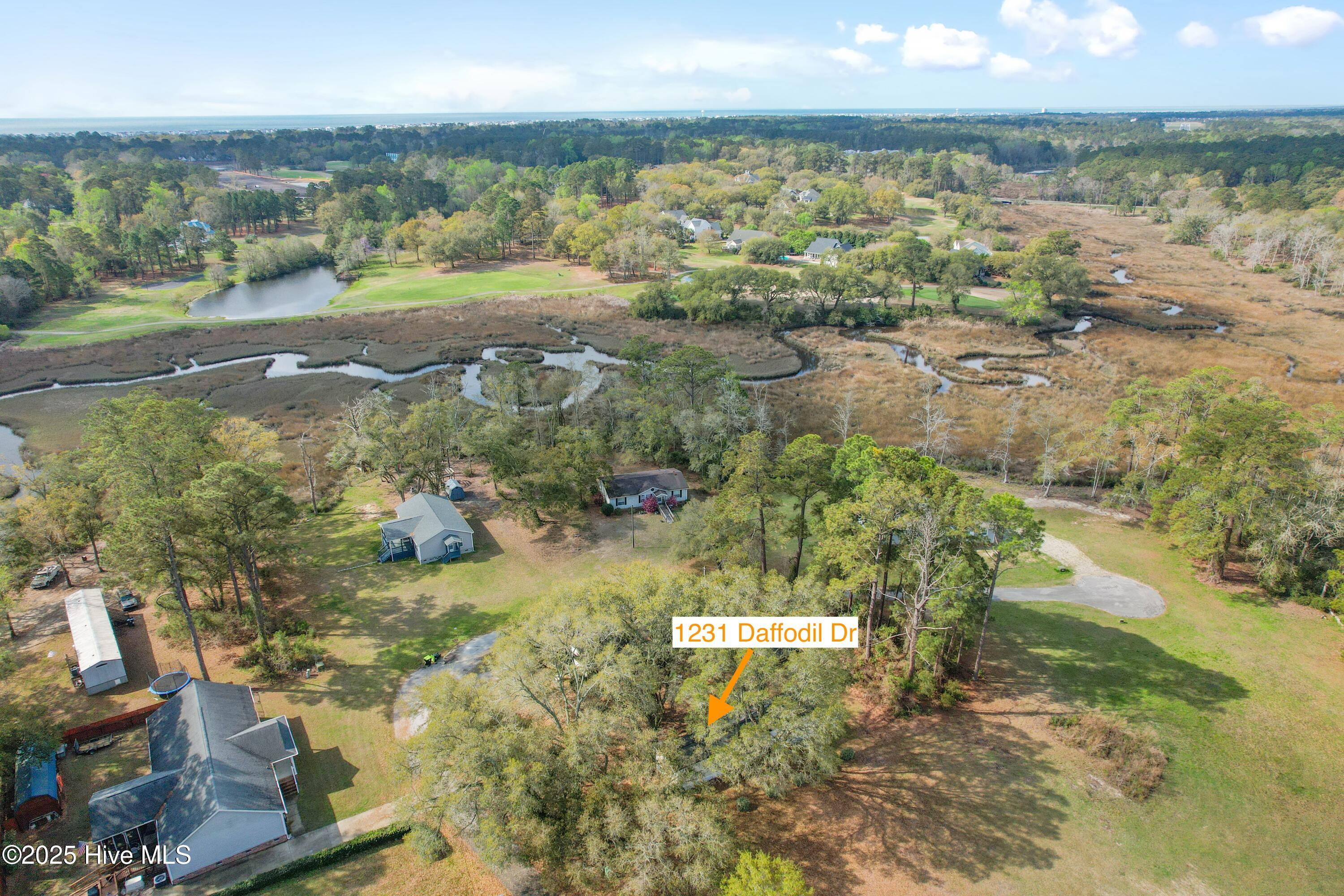 100499623 | Photo 27