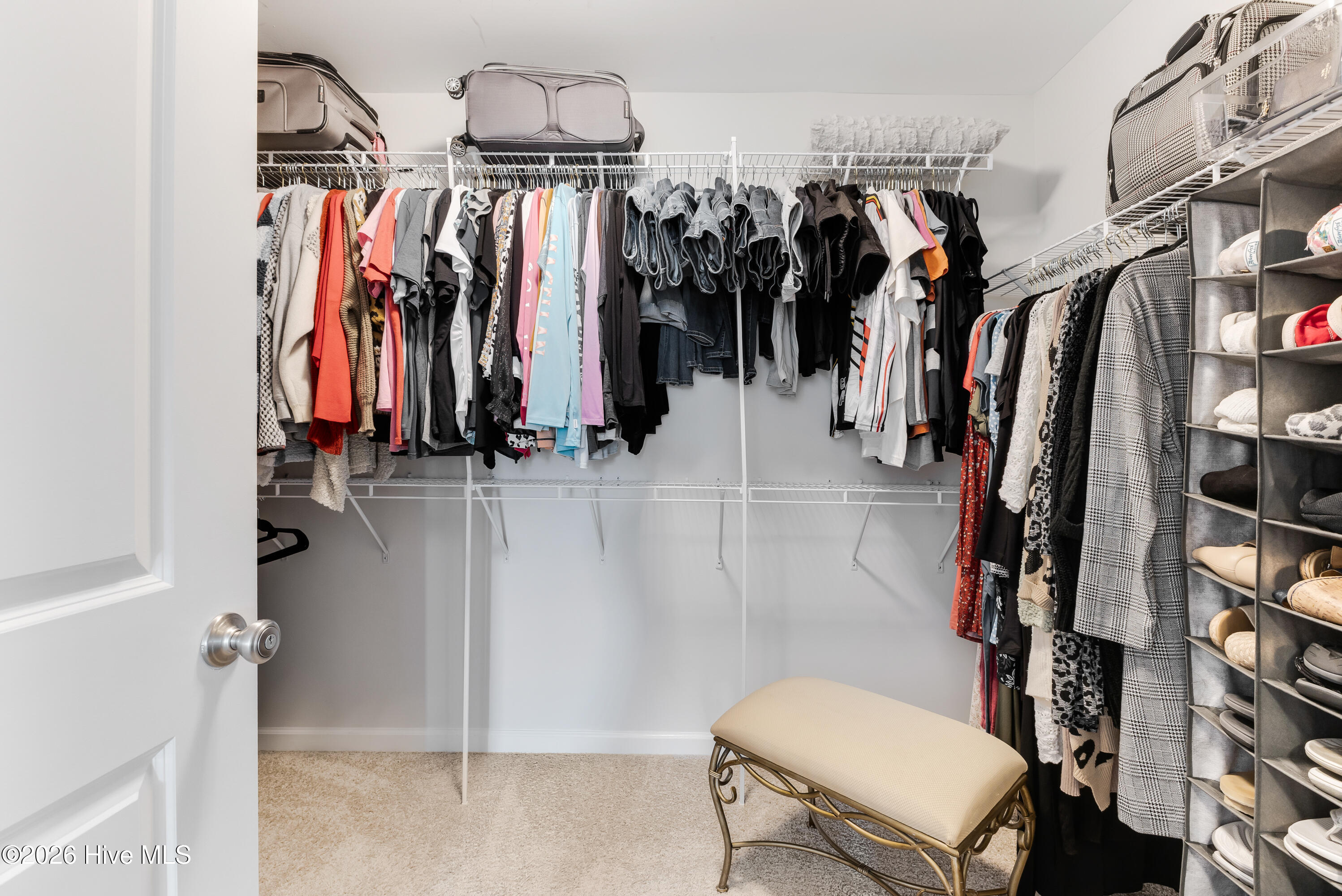 100565861 | Photo 38