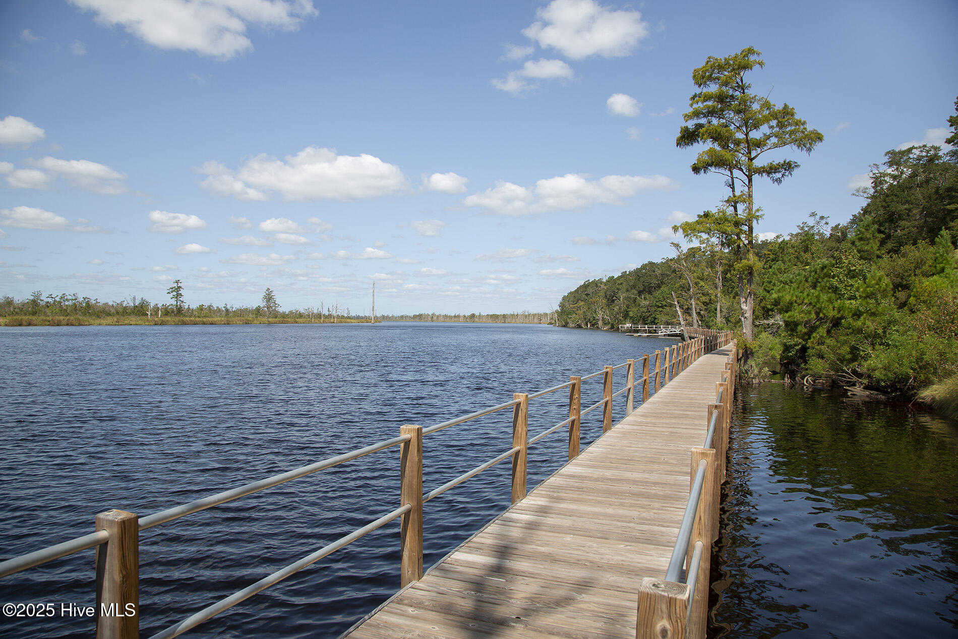 100556749 | Photo 60