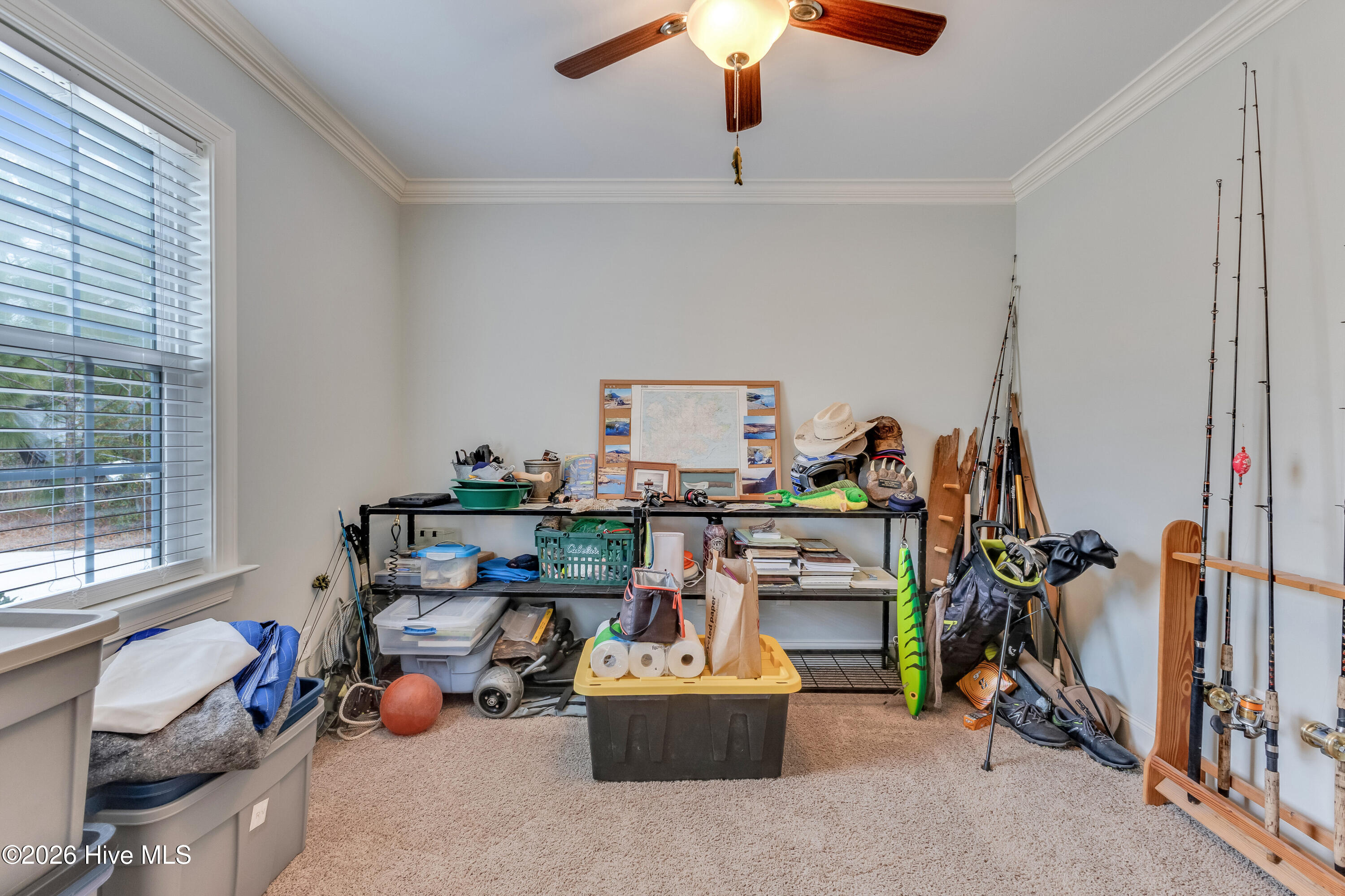 100551566 | Photo 28