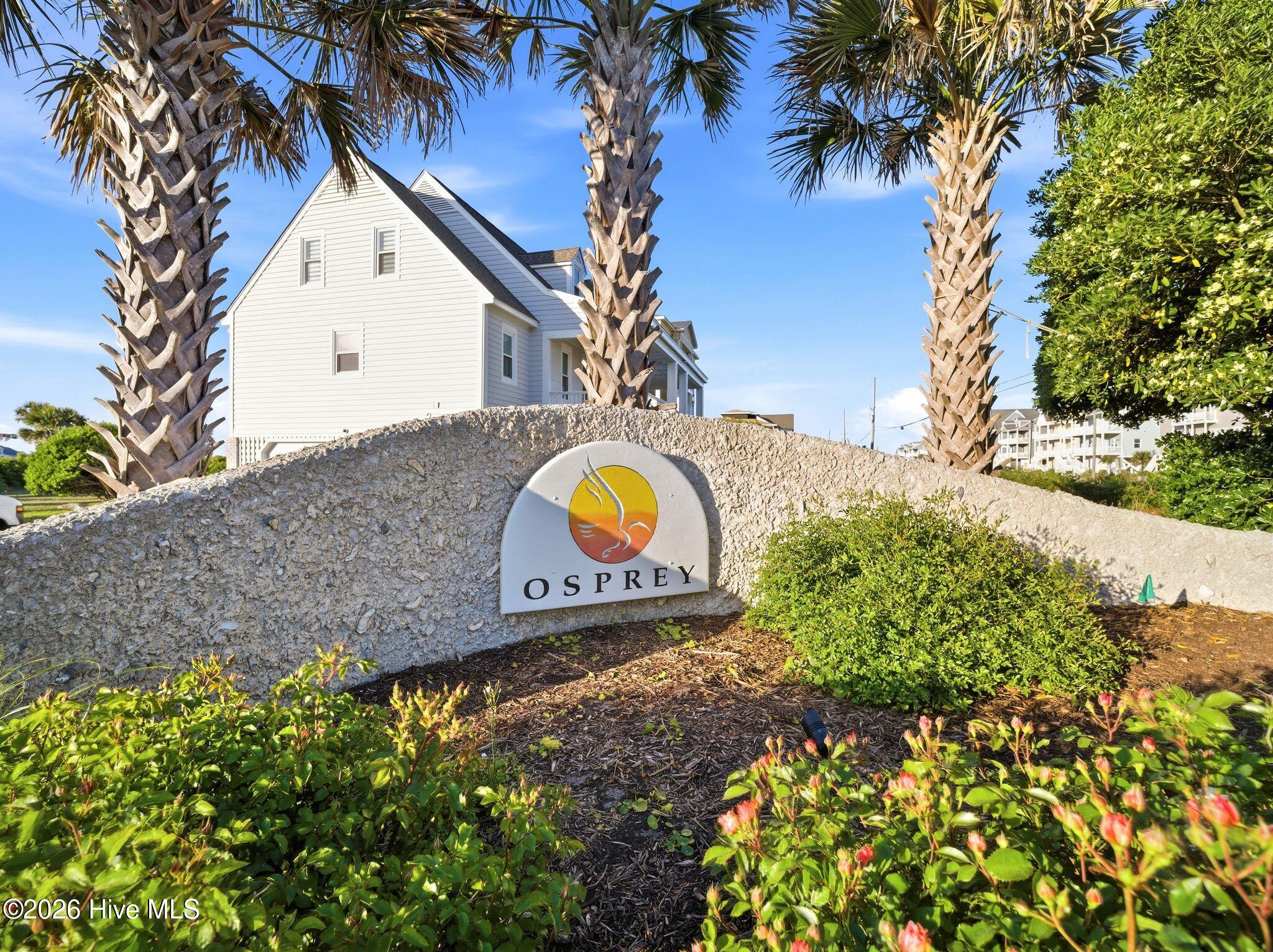 100569349 | Photo 124