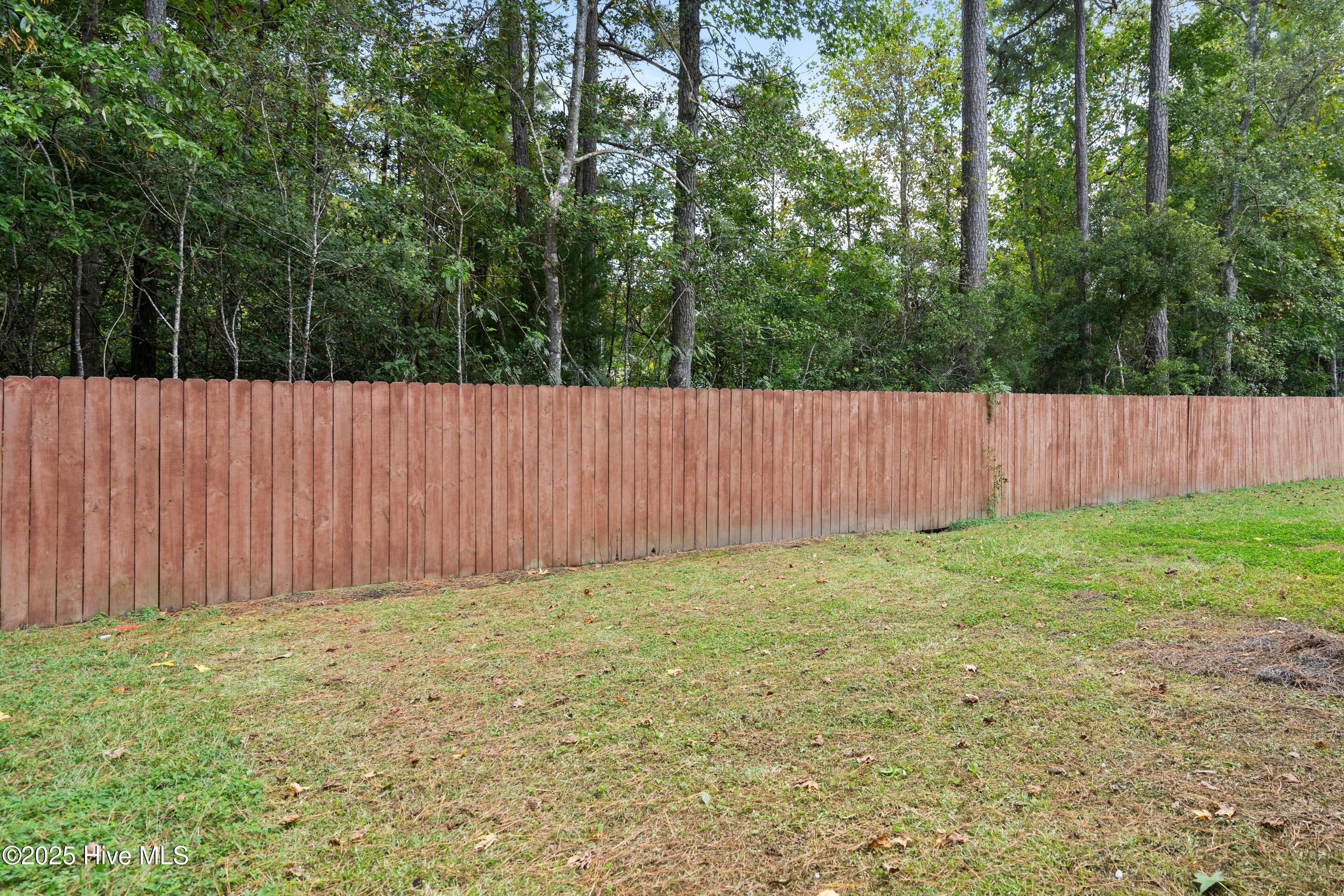 100536267 | Photo 37