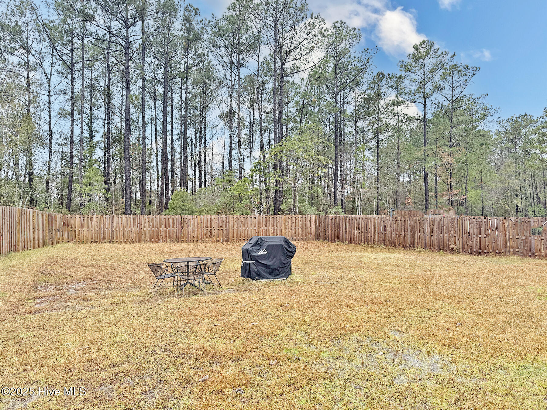 100544374 | Photo 38