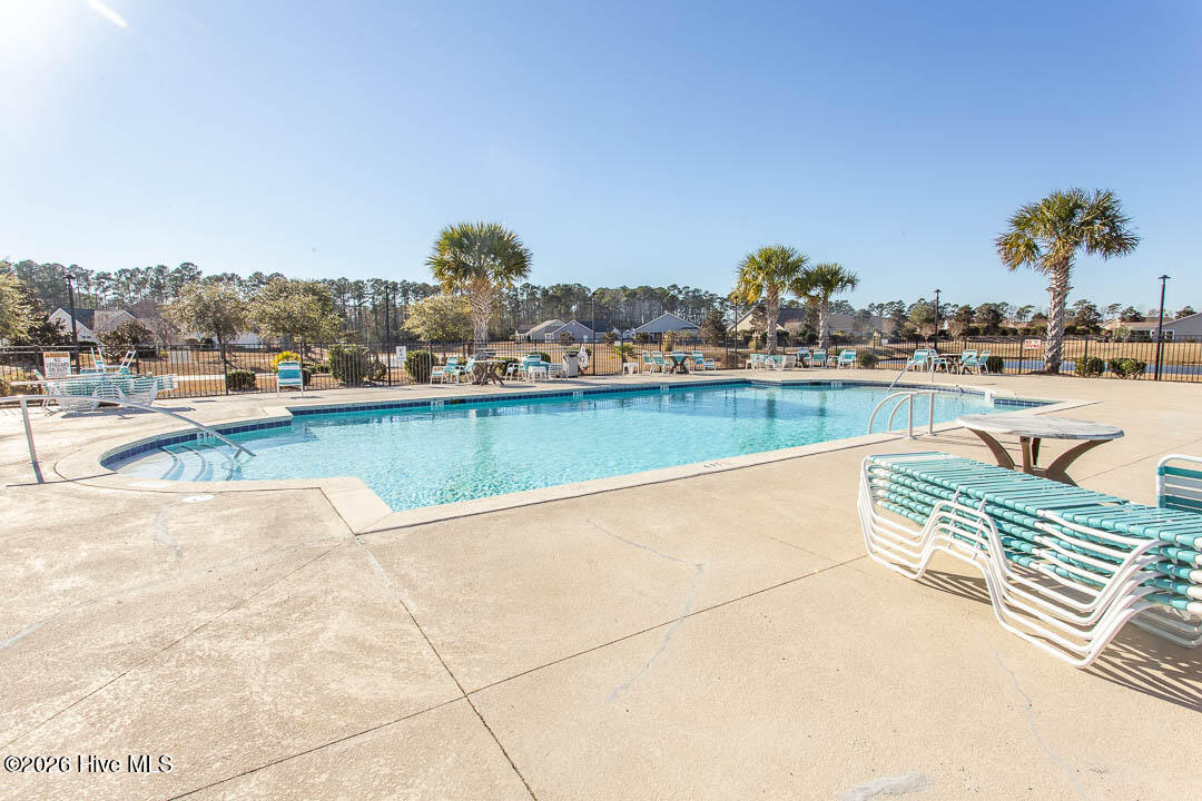 100554987 | Photo 47