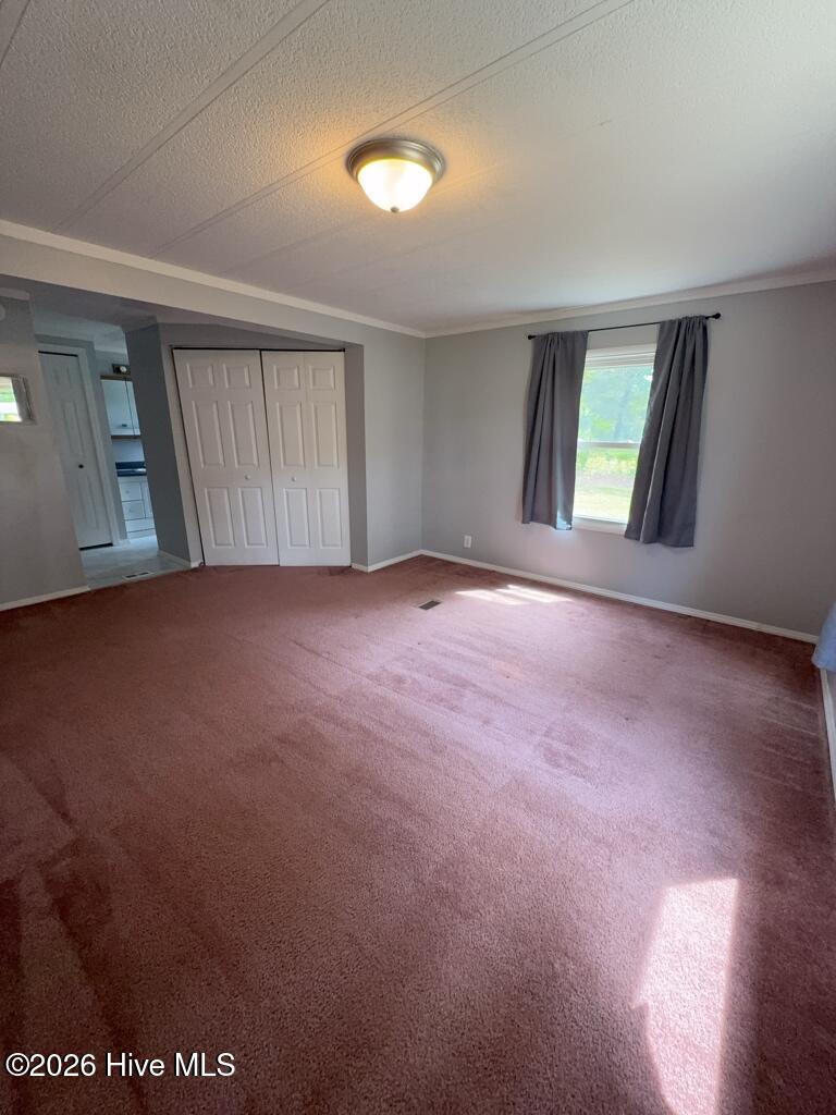 100570094 | Photo 11