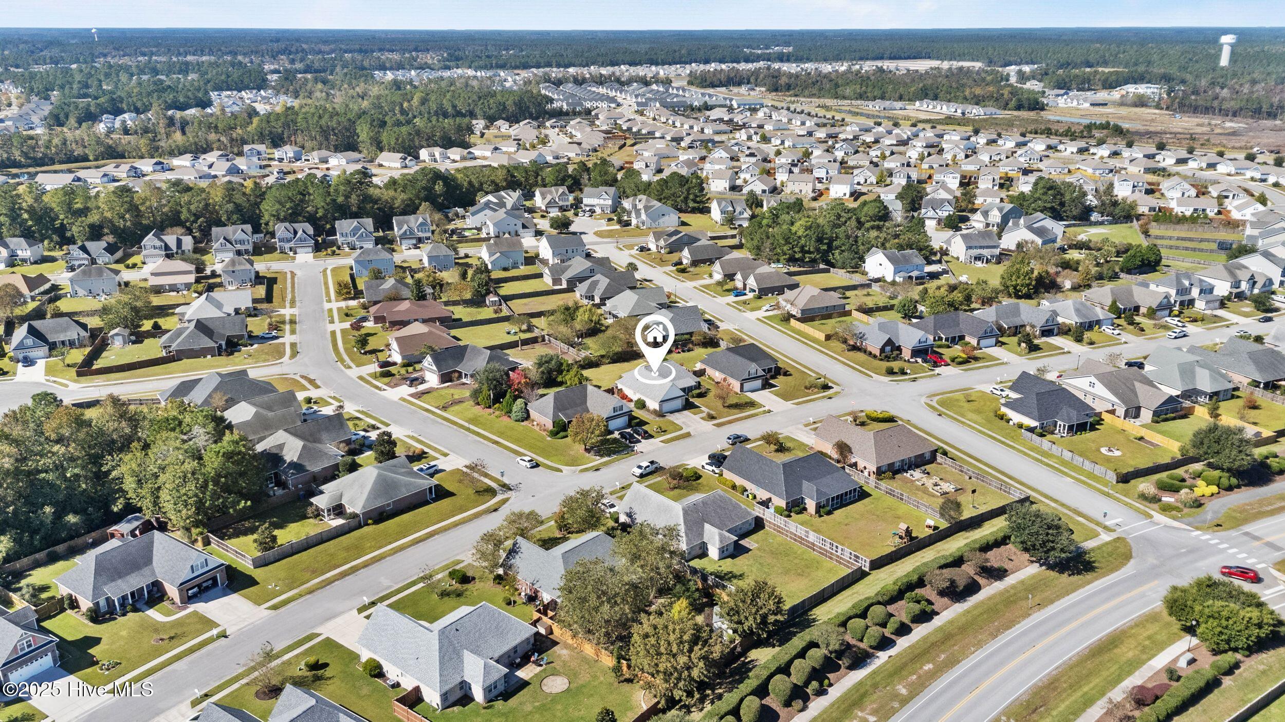 100537389 | Photo 46