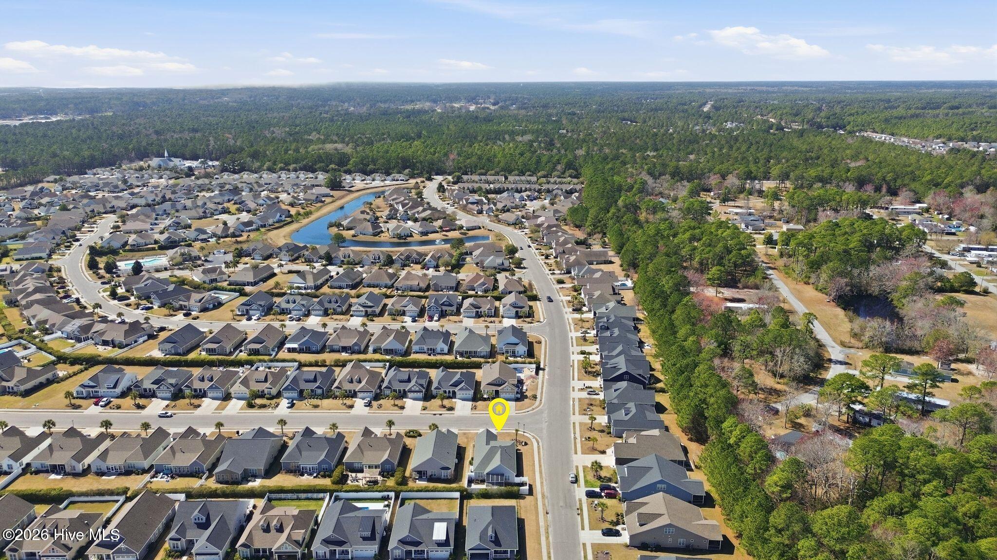 100559439 | Photo 93