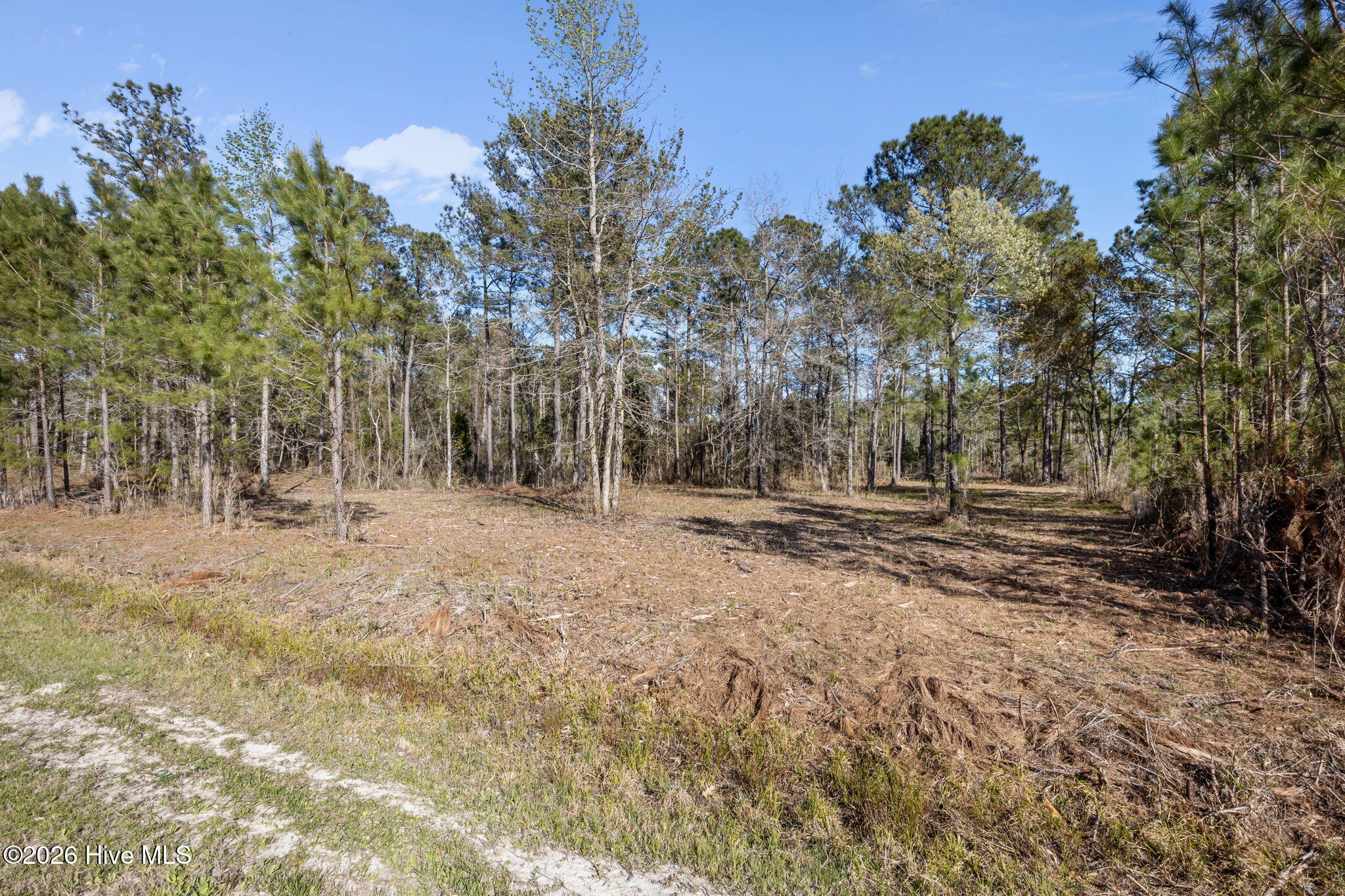 128 32 Shell Castle Lane,Vandemere