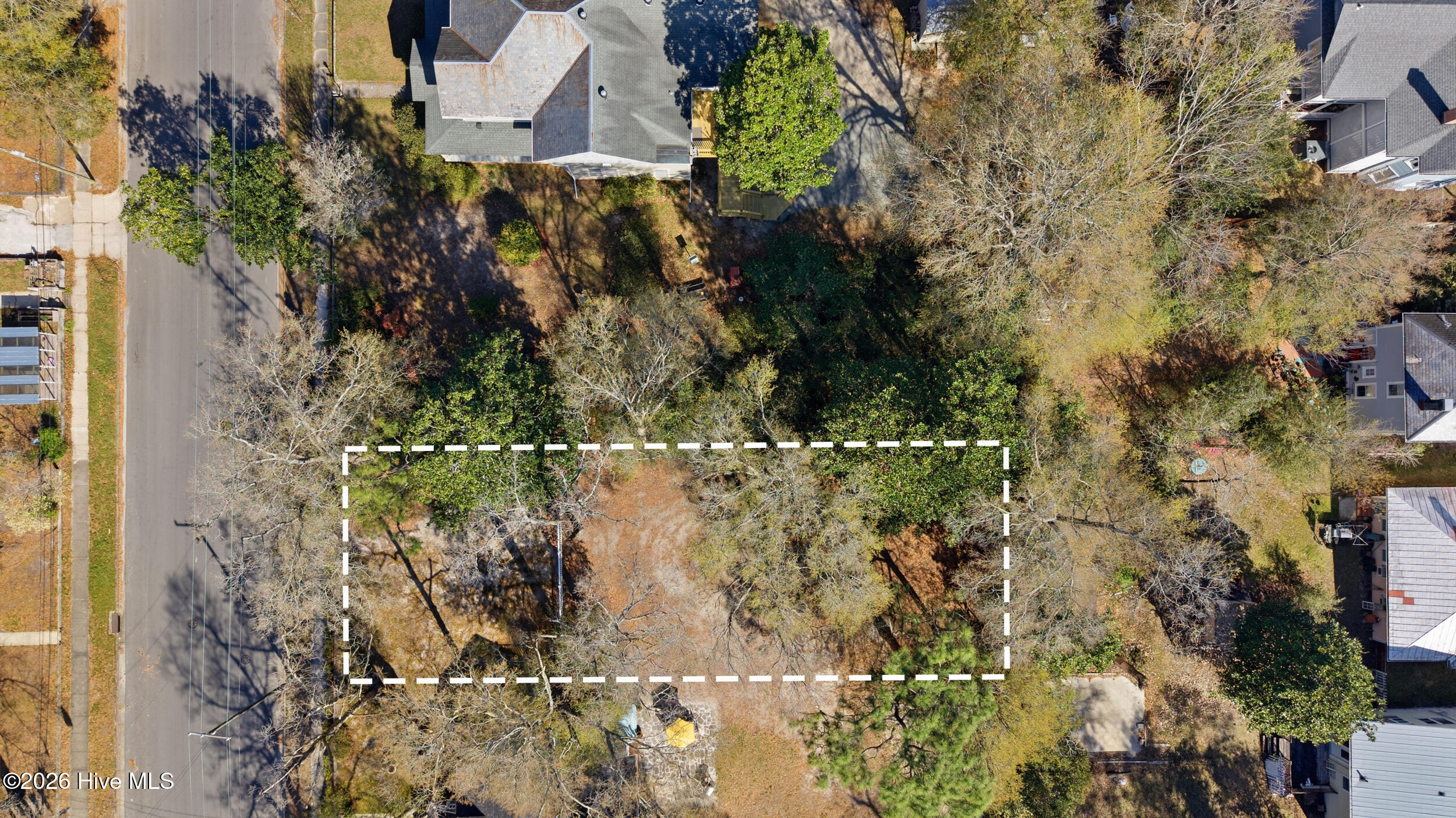 100562398 | Photo 44