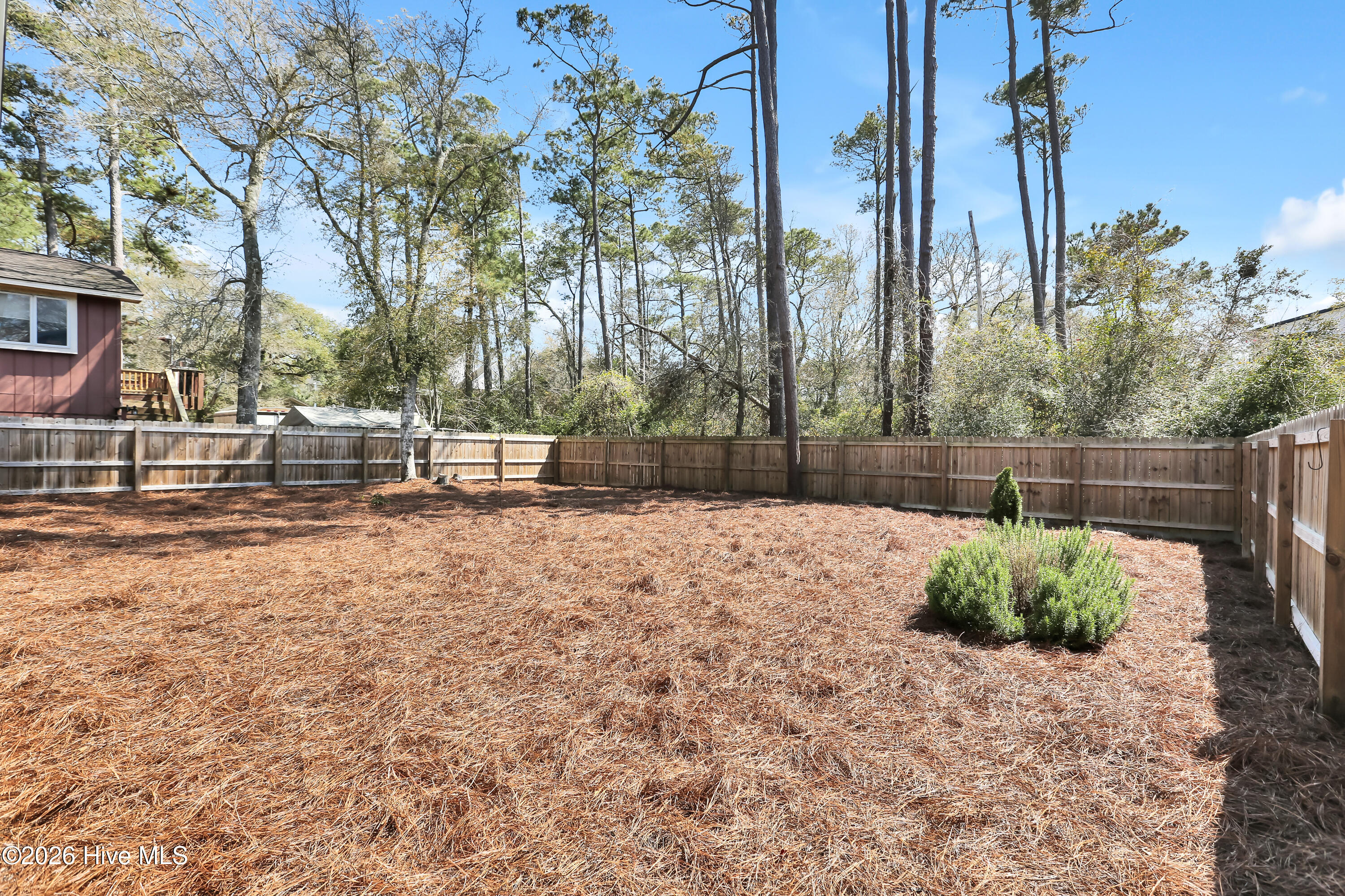 100564163 | Photo 35