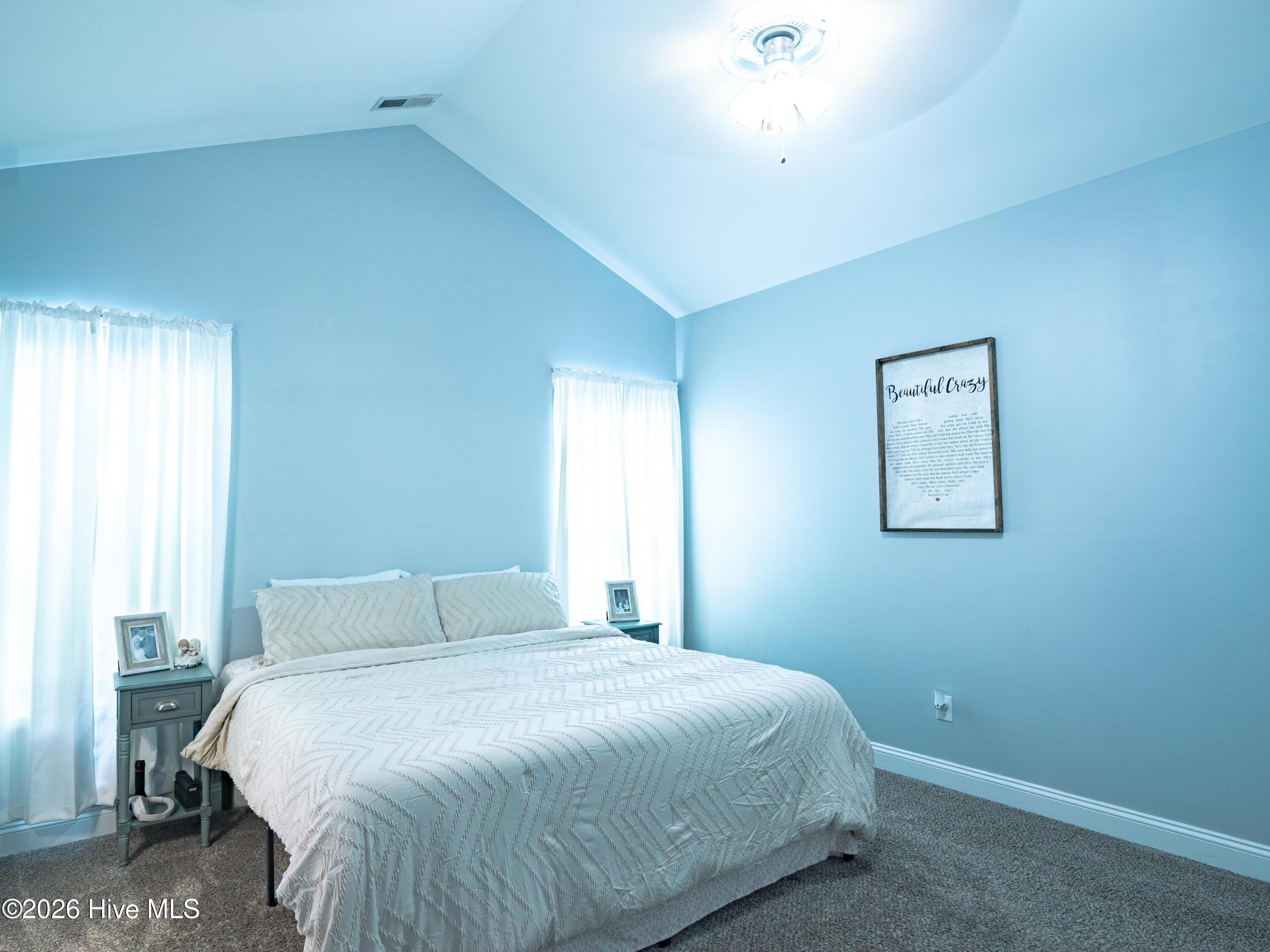 234 Emerald Ridge Road, Jacksonville, NC 28546 – photo 16: C5M01836-HDR