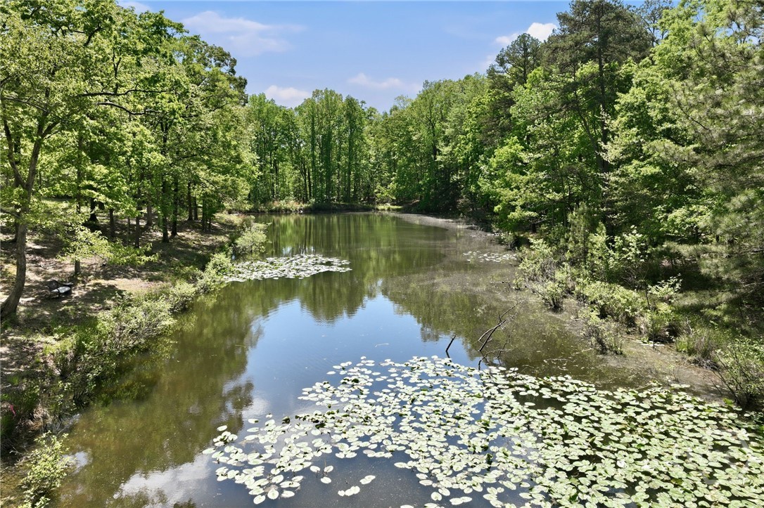 View of entire pond but only part is on property